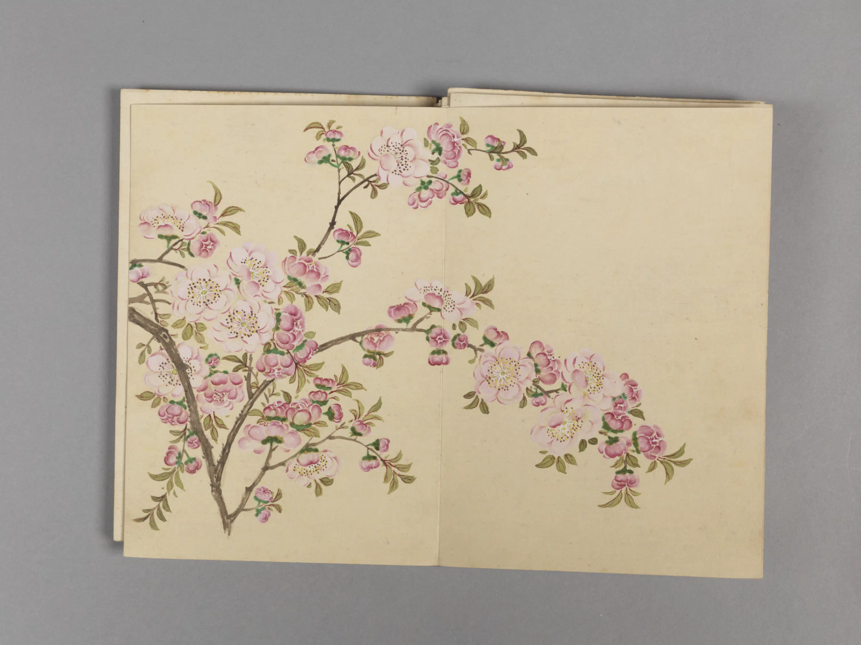 清代【董诰】《花卉小册（16开）》 第6张
