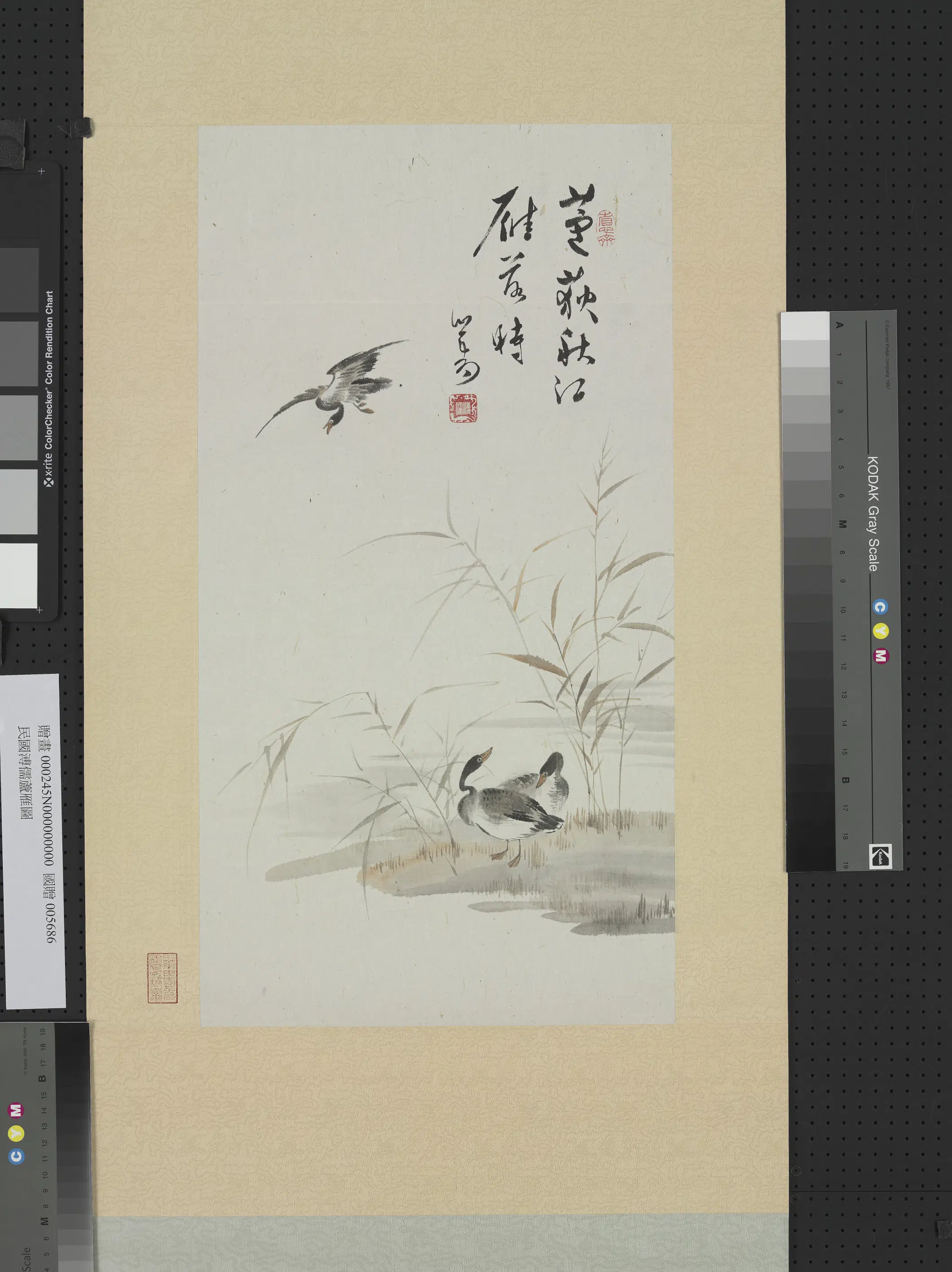 近现代【溥儒（溥心畬）】《芦雁图轴》