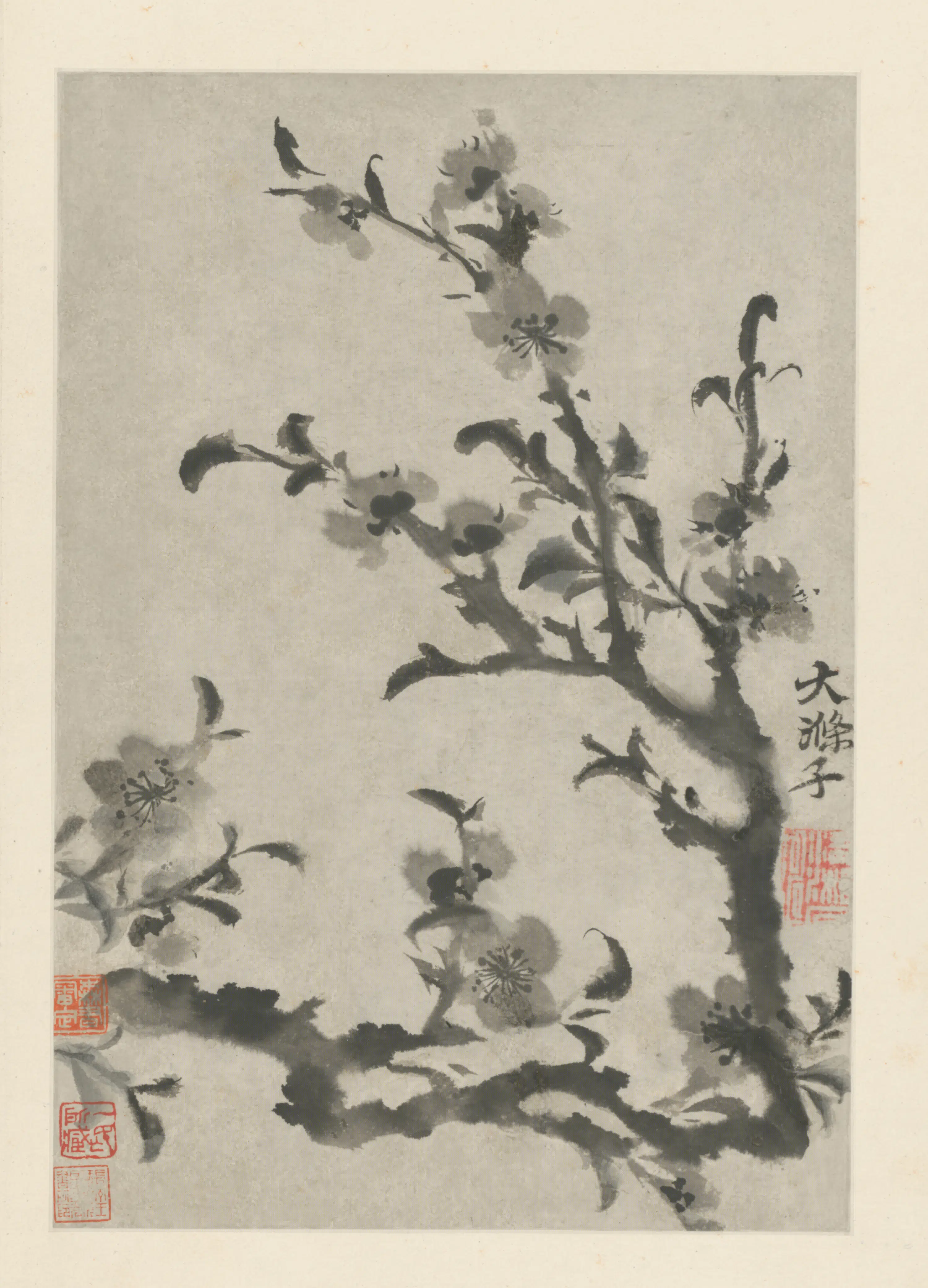 清代【原济】《花卉图册》