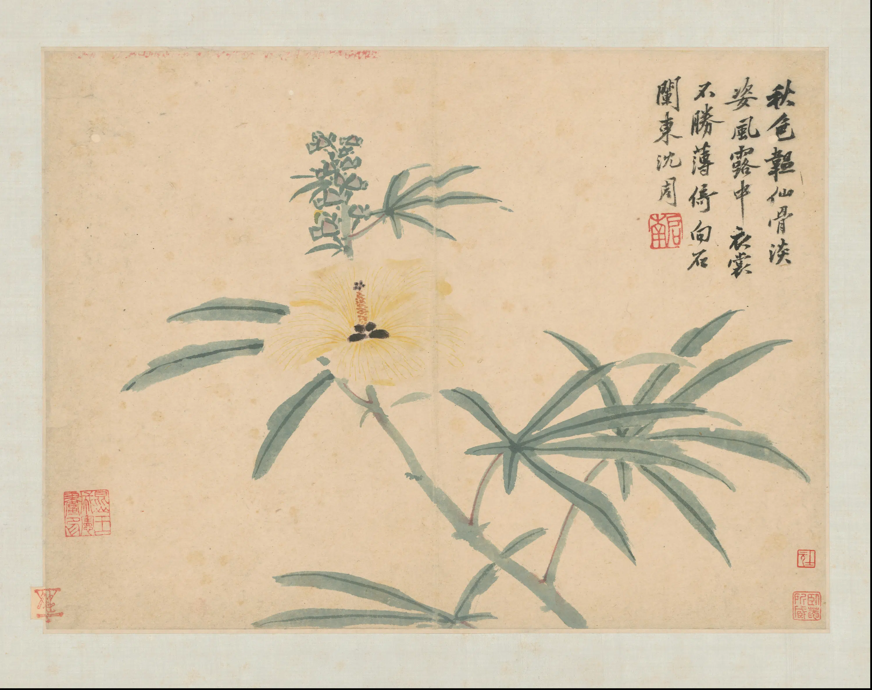 明代【沈周】《石田卧游图册-21开》 第14张