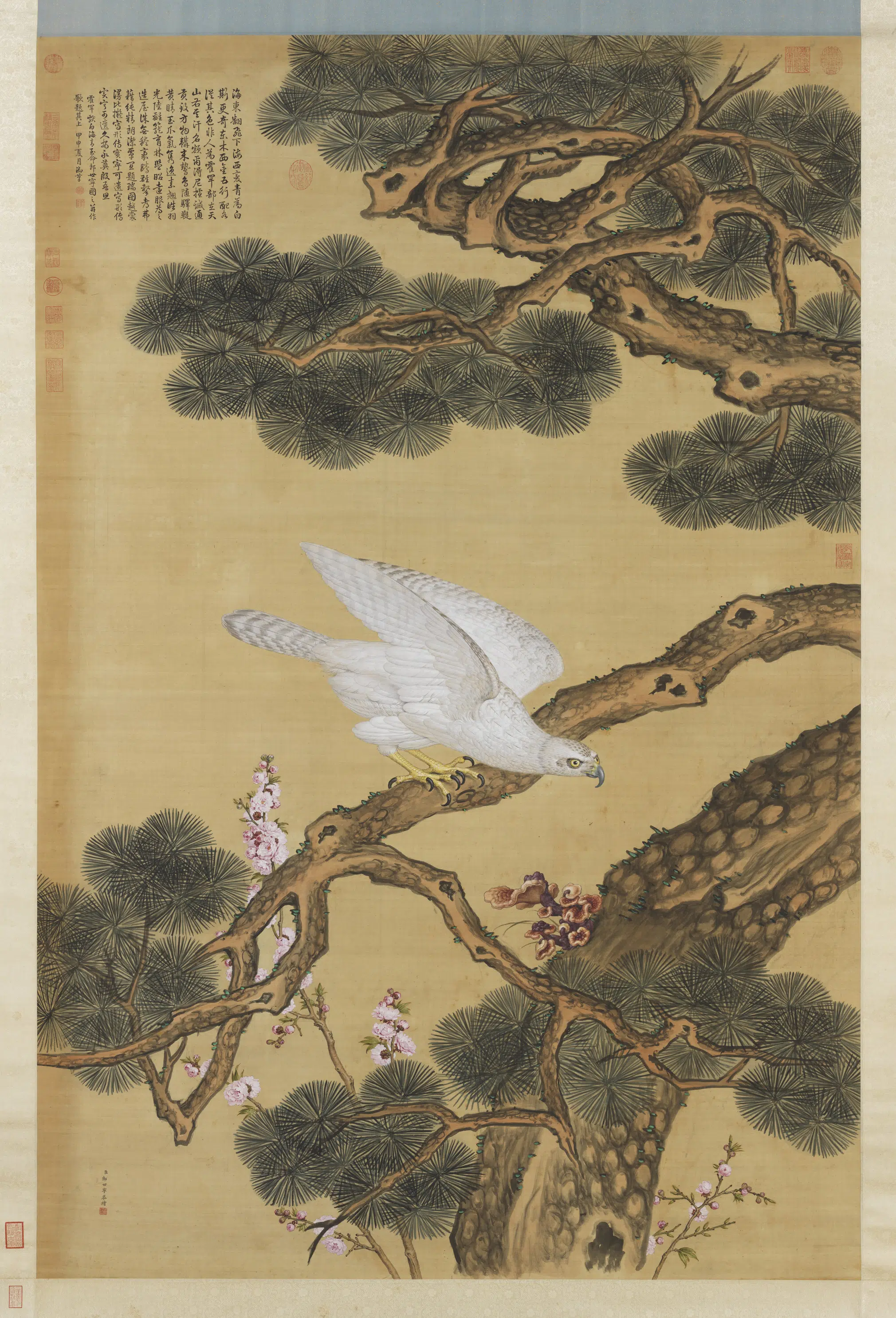 清代【郎世宁】《白海青图轴-2》
