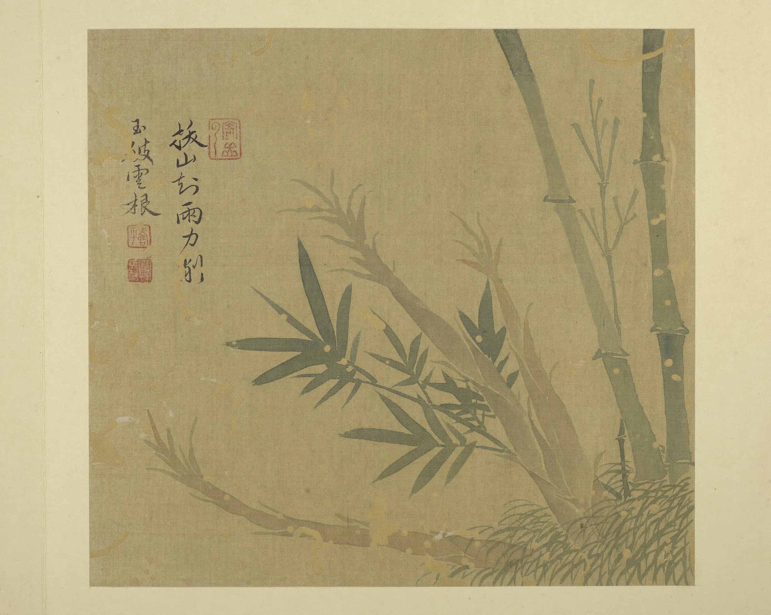 清代【恽寿平】《画花卉册-1》 第7张
