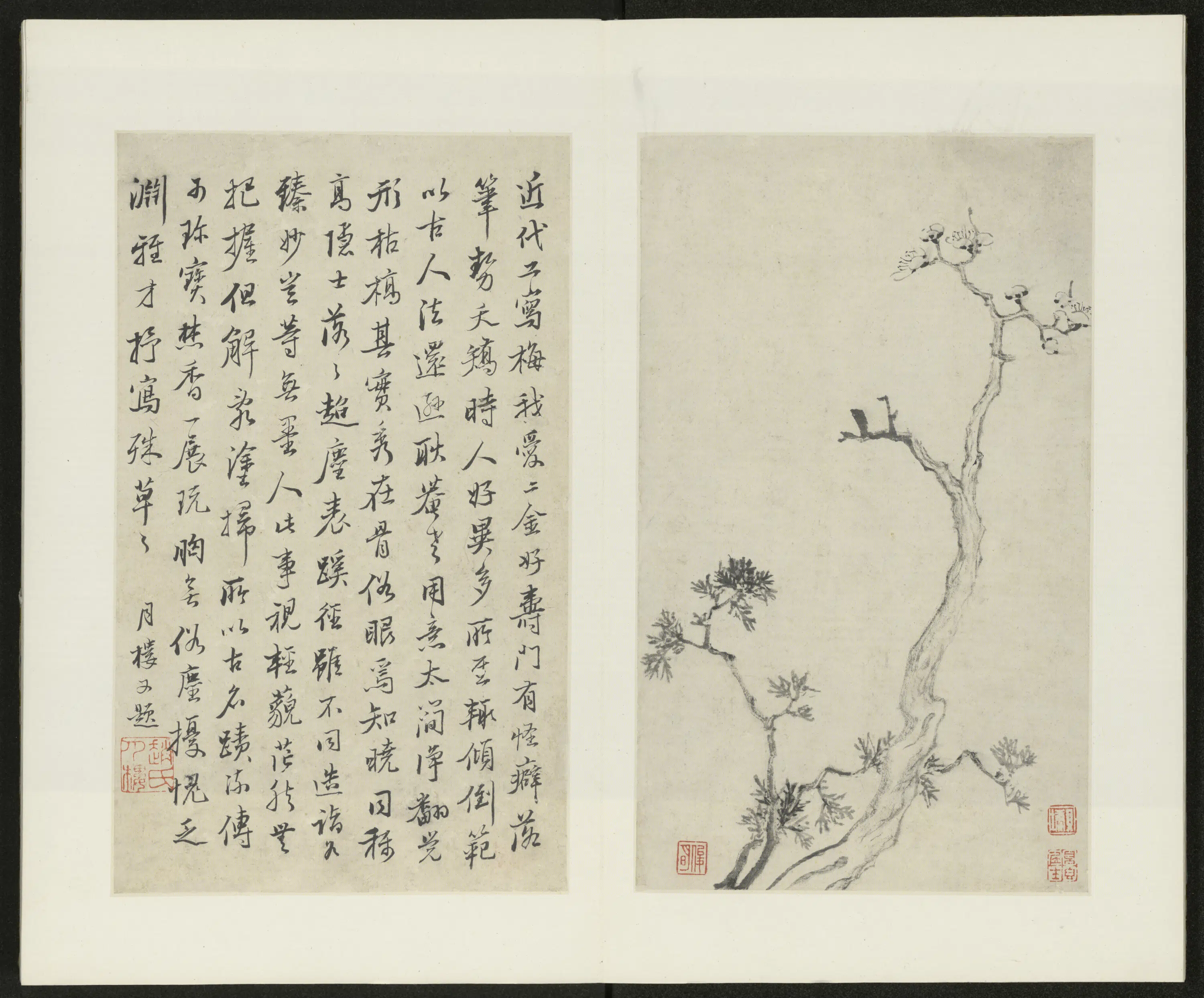 清代【金俊明】《梅花图册-1》 第2张