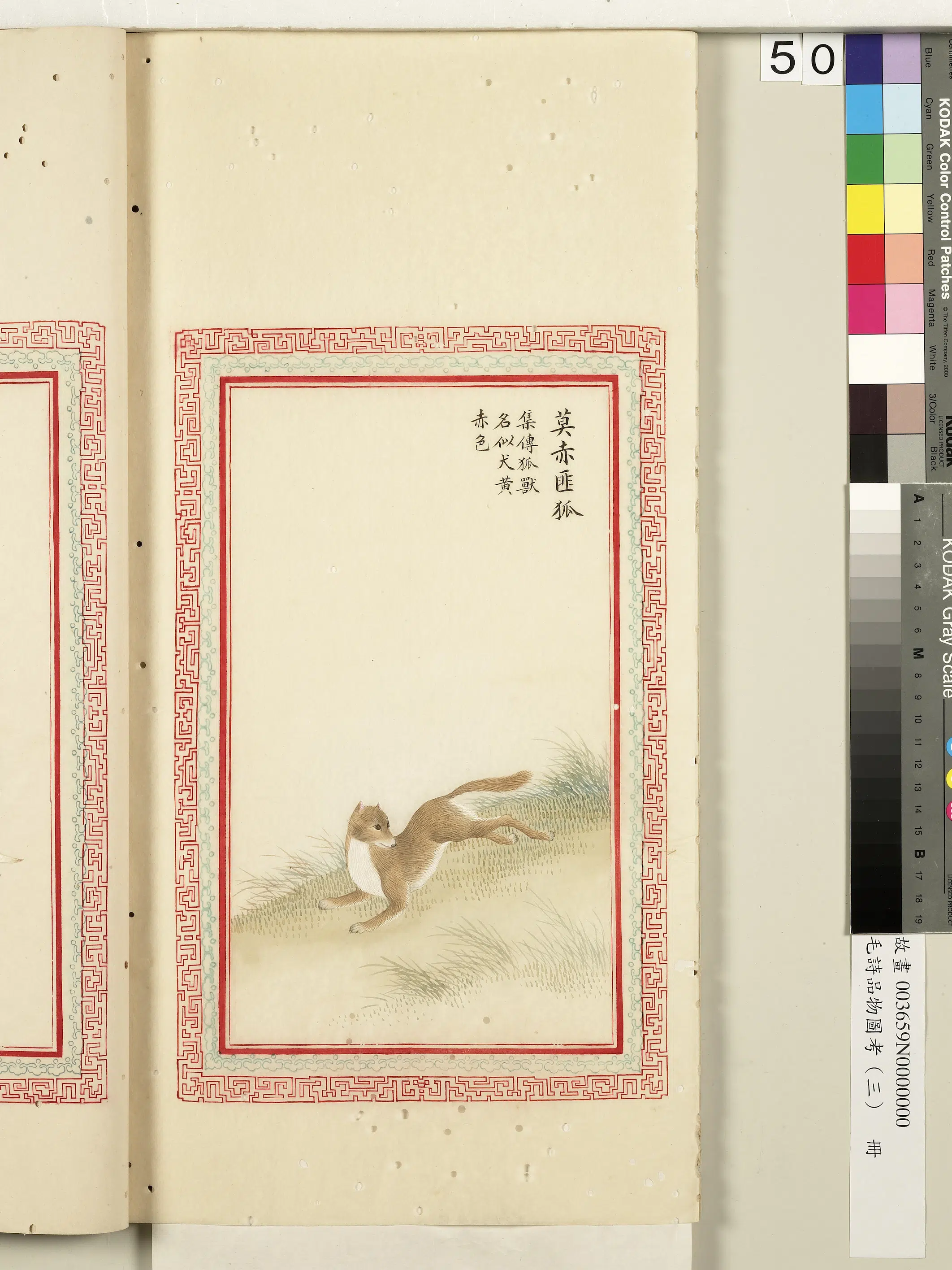 清代《毛诗品物图考(三)册-2》 第42张 清代《毛诗品物图考(三)册-2》 第42张