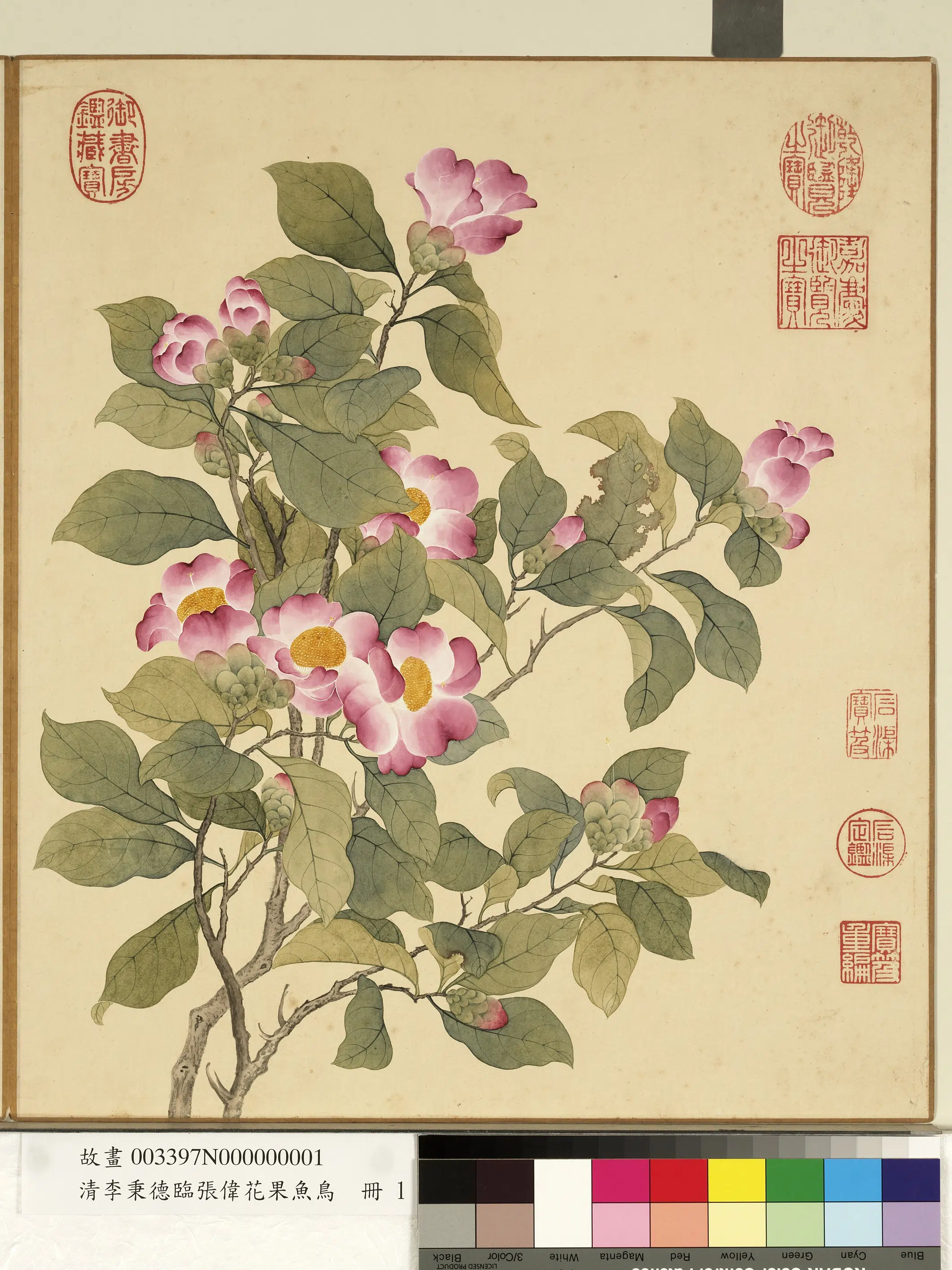 清代【李秉德】《临张伟花果鱼鸟册》 第5张