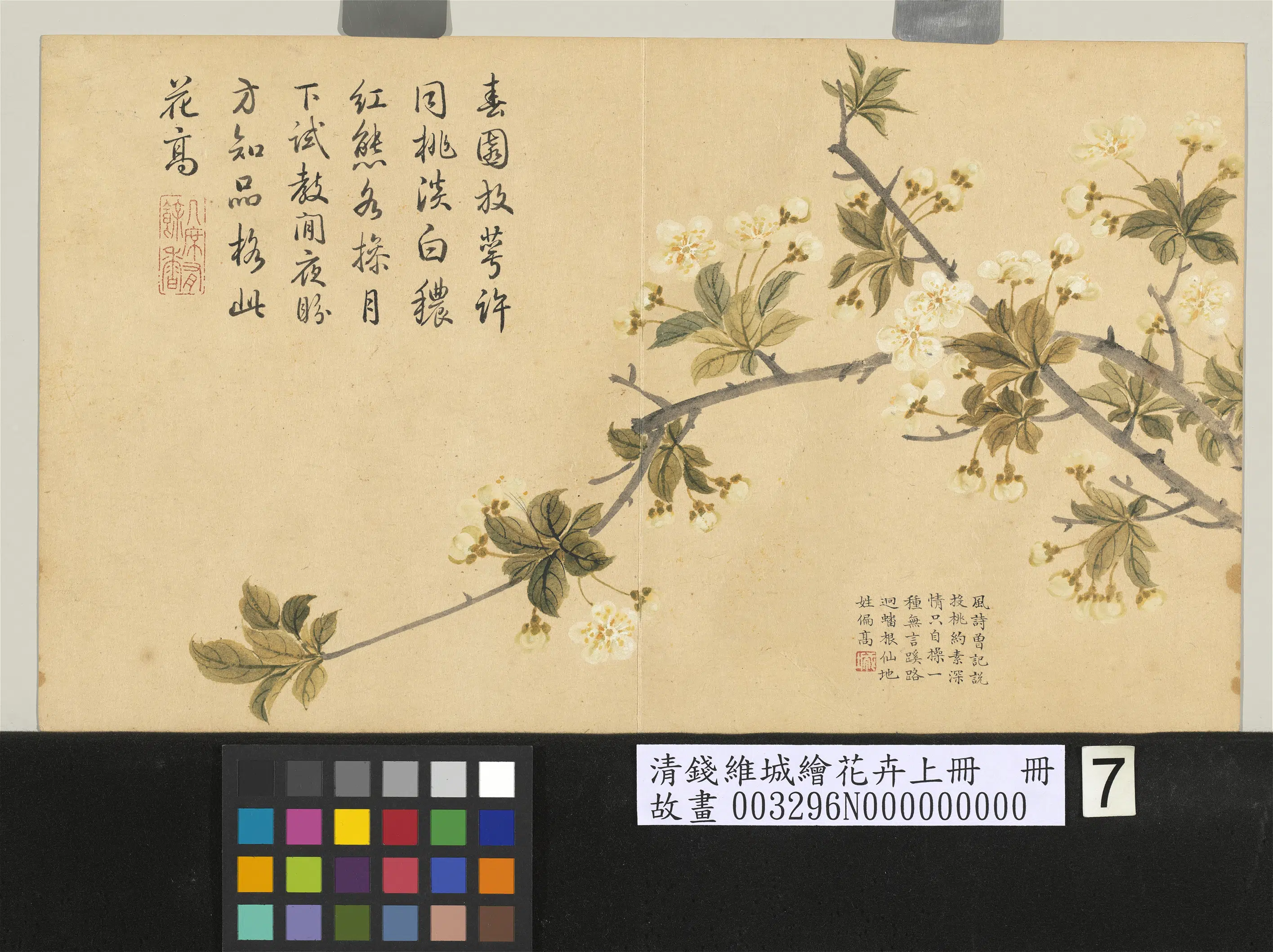 清代【钱维城】《绘花卉（上）册李花》