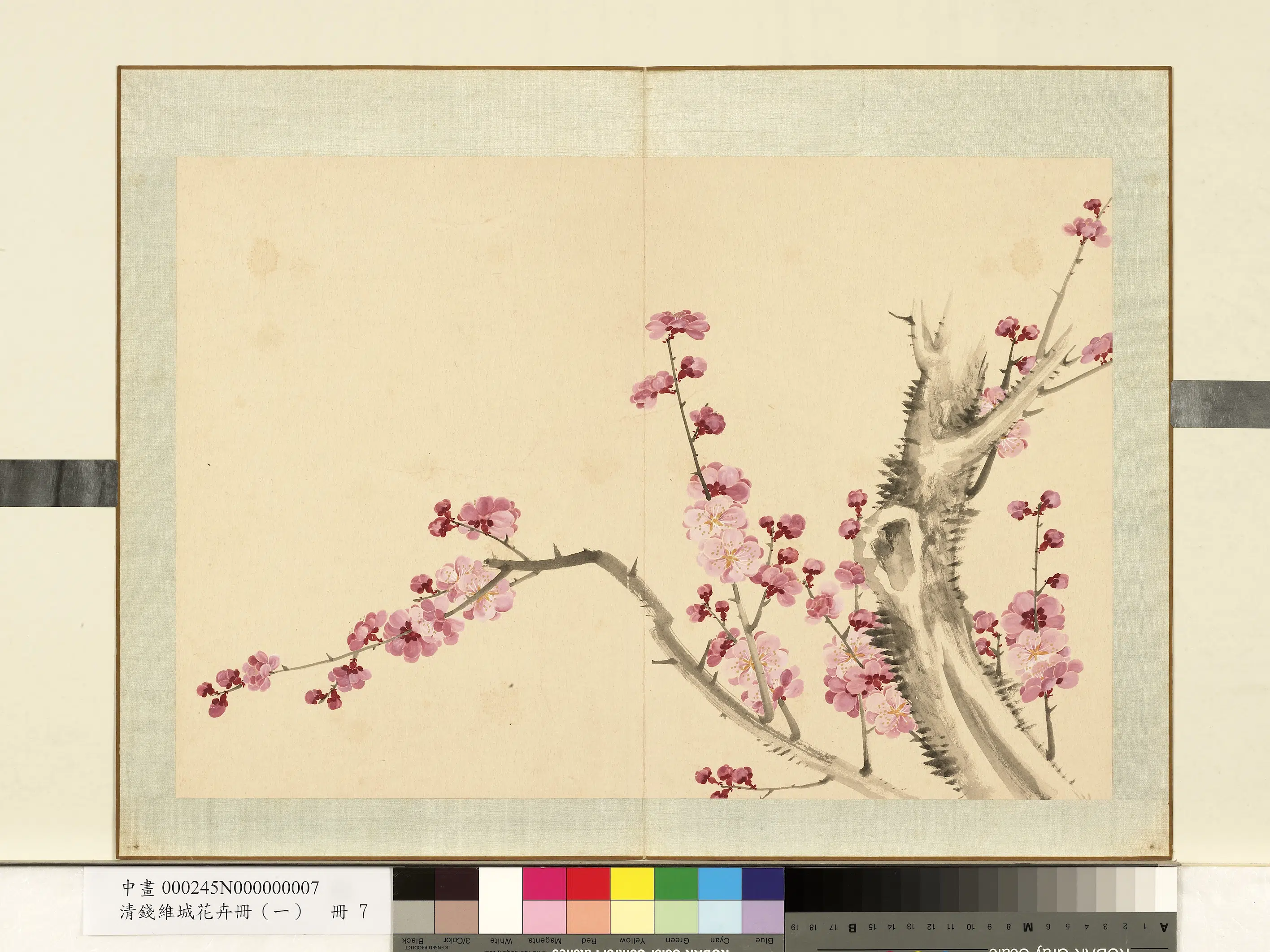 清代【钱维城】《花卉册(一)册》 第3张 清代【钱维城】《花卉册(一)册》 第3张