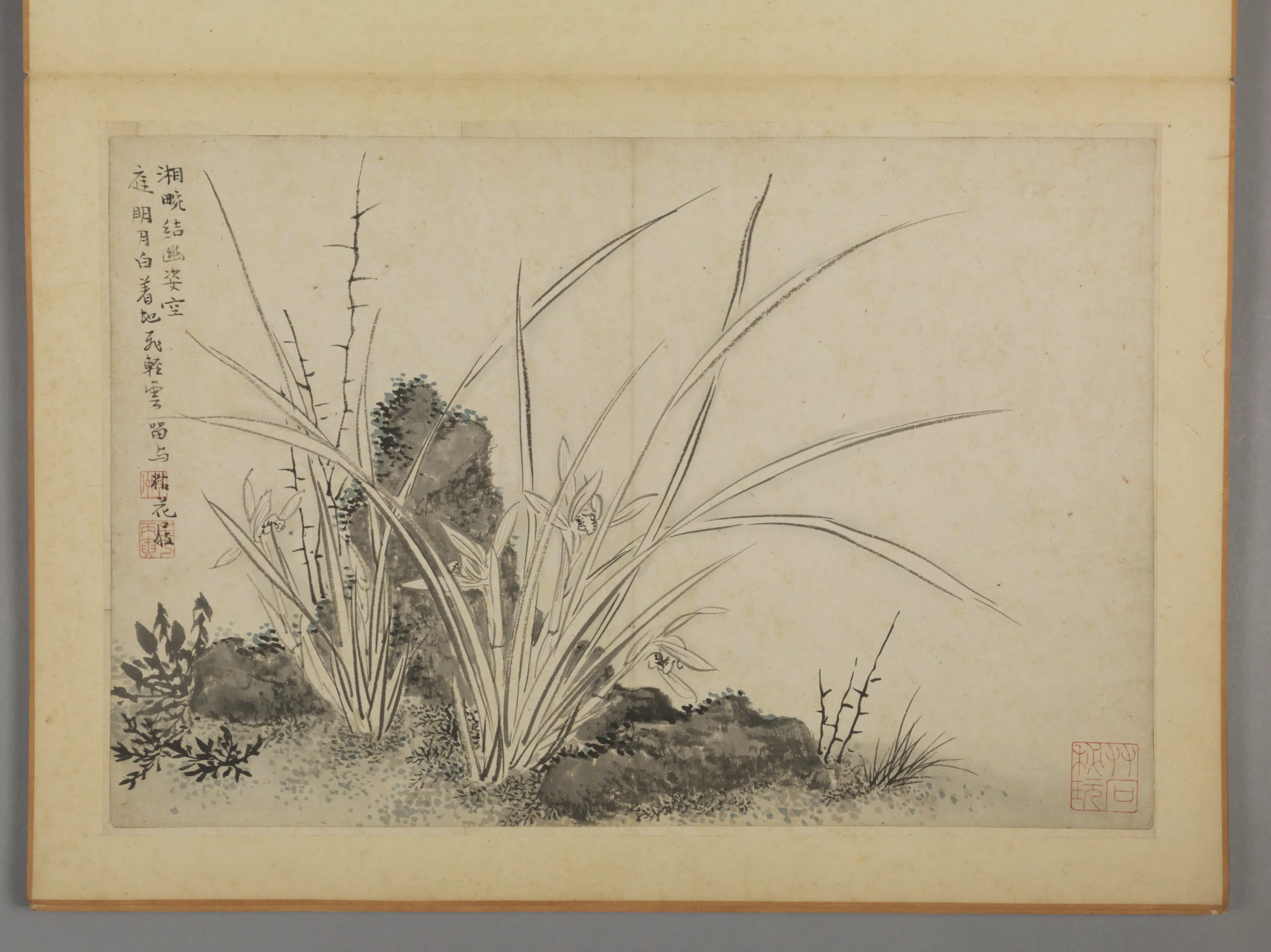 清代【蔡嘉】《花卉图册（12开）》 第3张