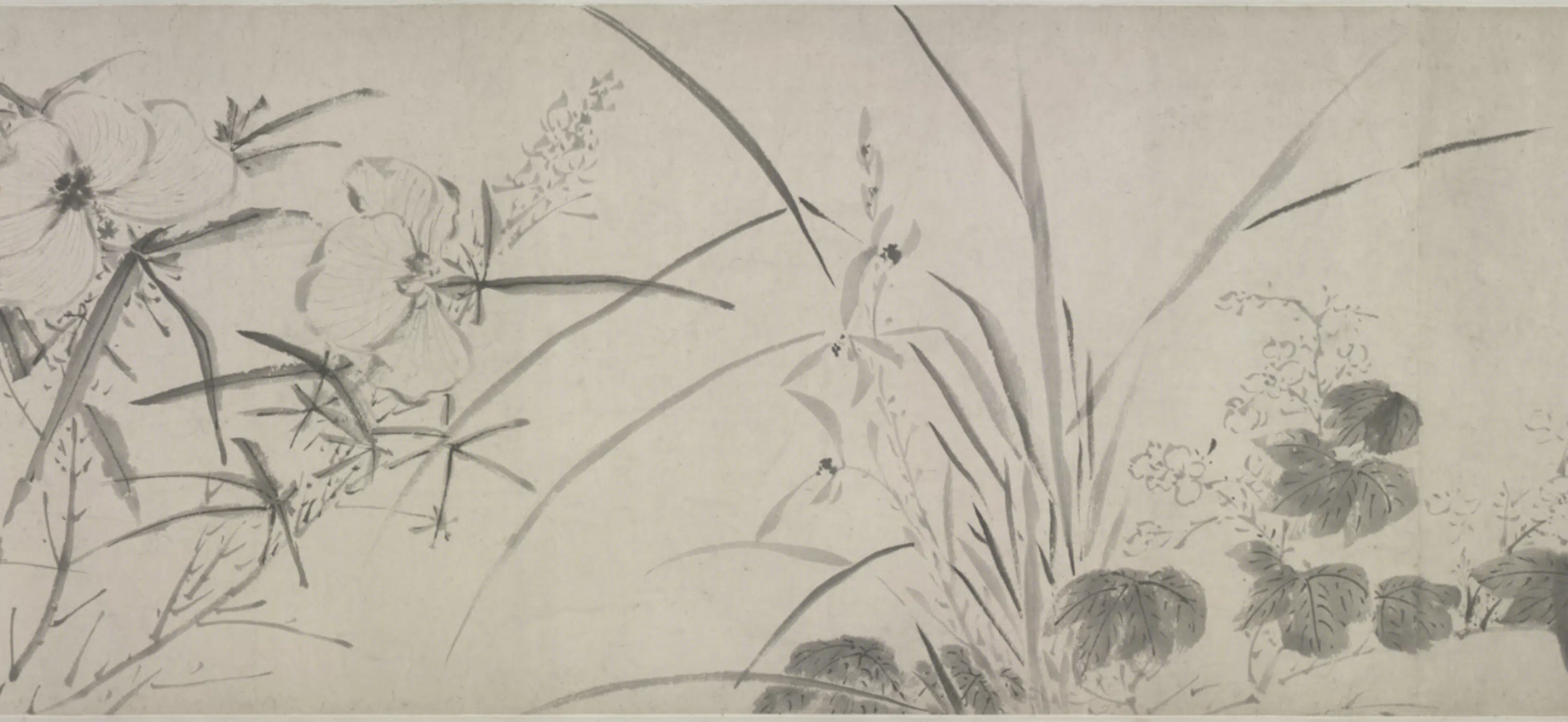 明朝【陈栝】《花卉图卷》 第5张