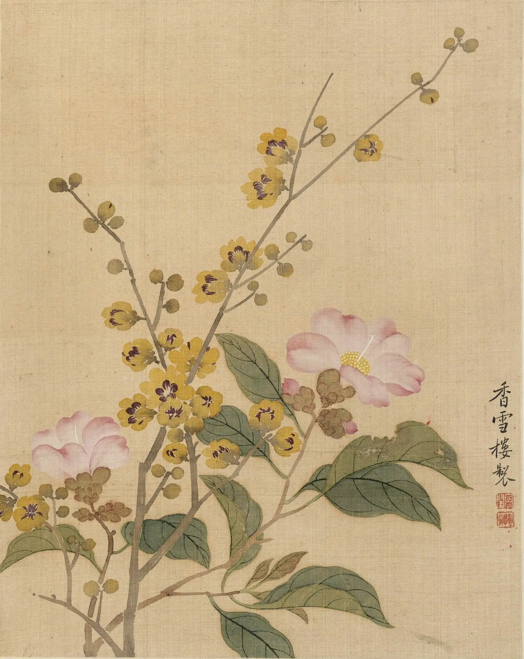 清代【恽冰】《花卉册（十开）》 第10张