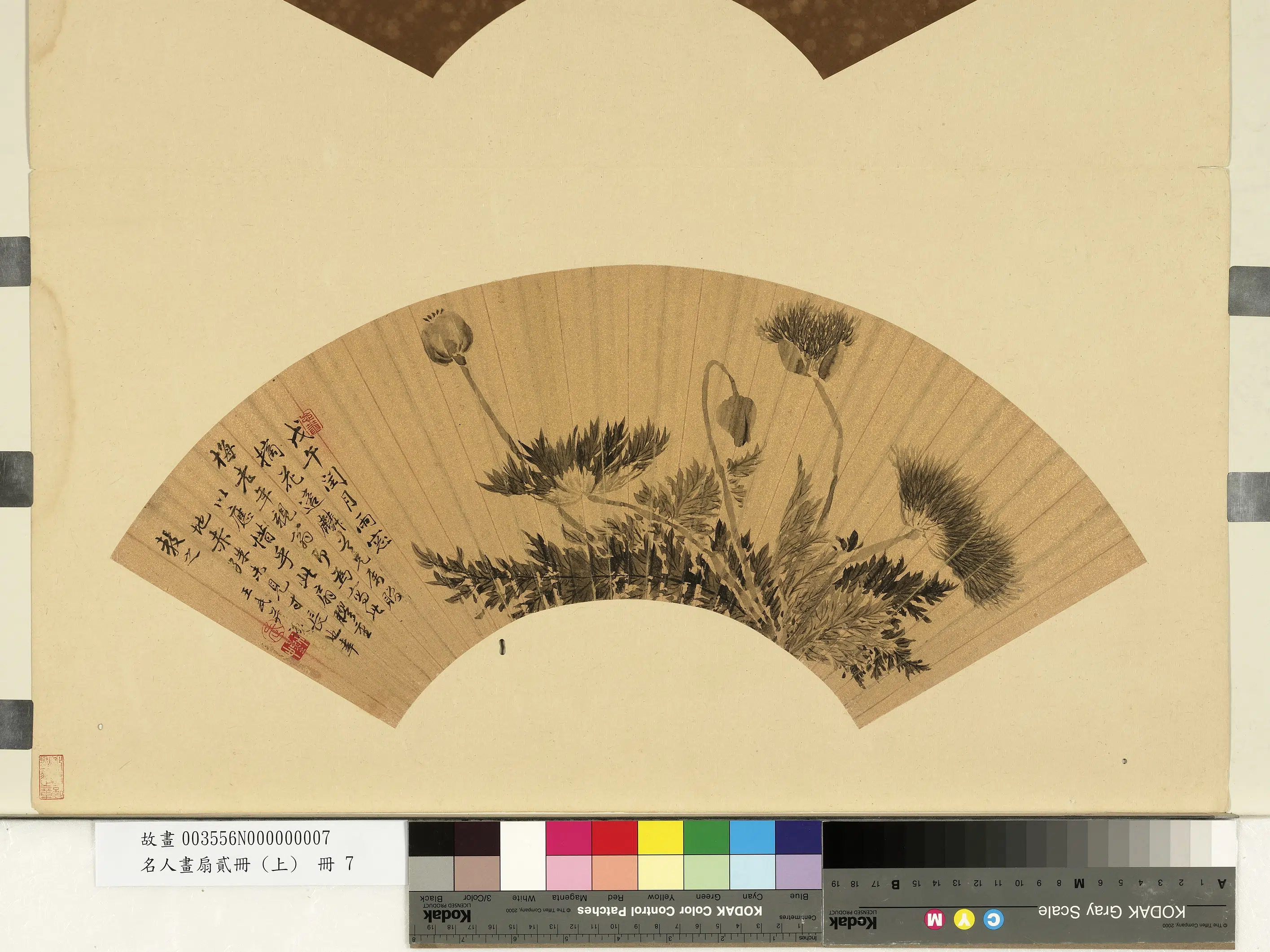 清代【王武】《罂粟图-名人画扇贰册(上)册》