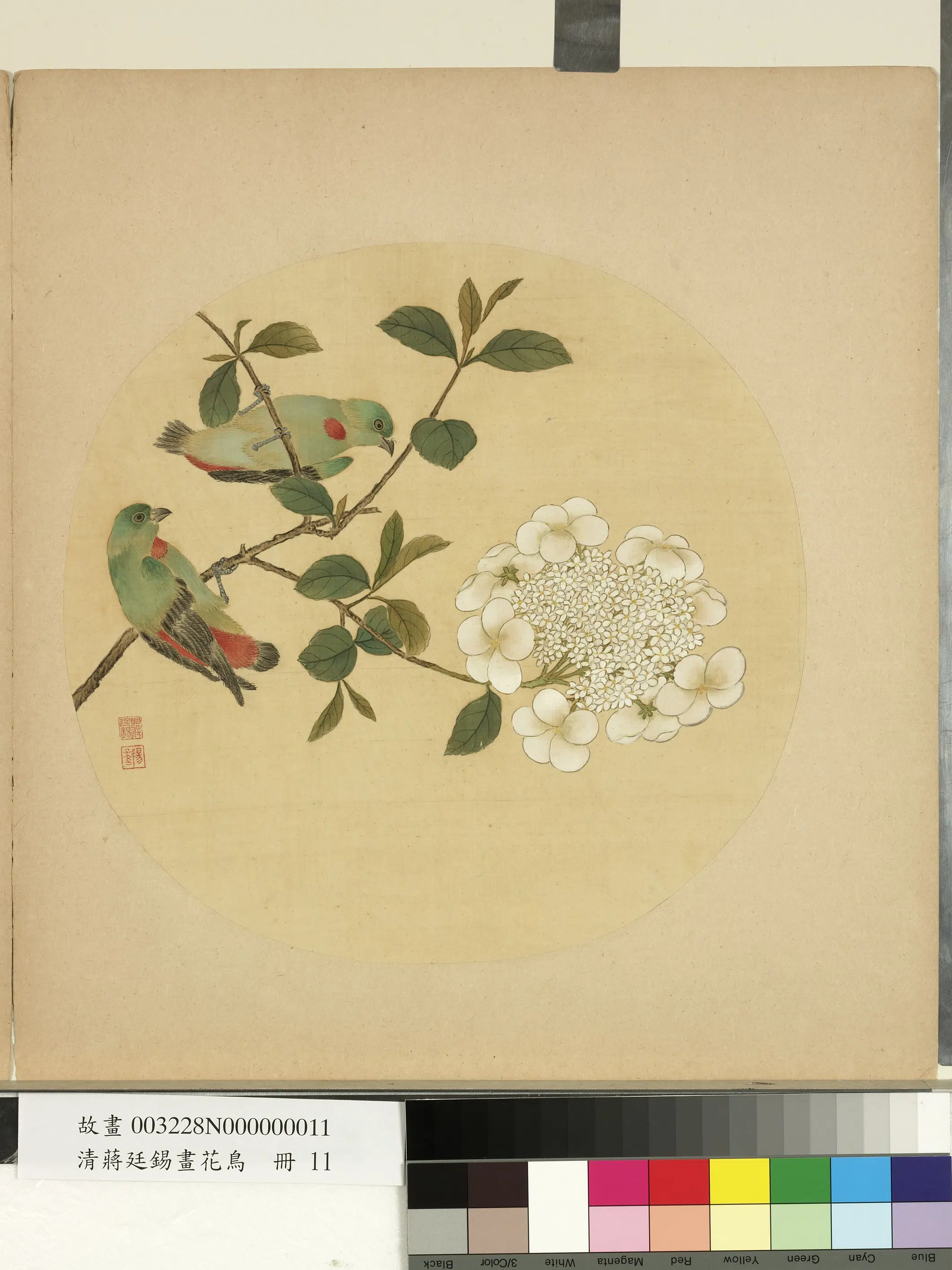 清代【蒋廷锡】《画花鸟册-绣球双禽》