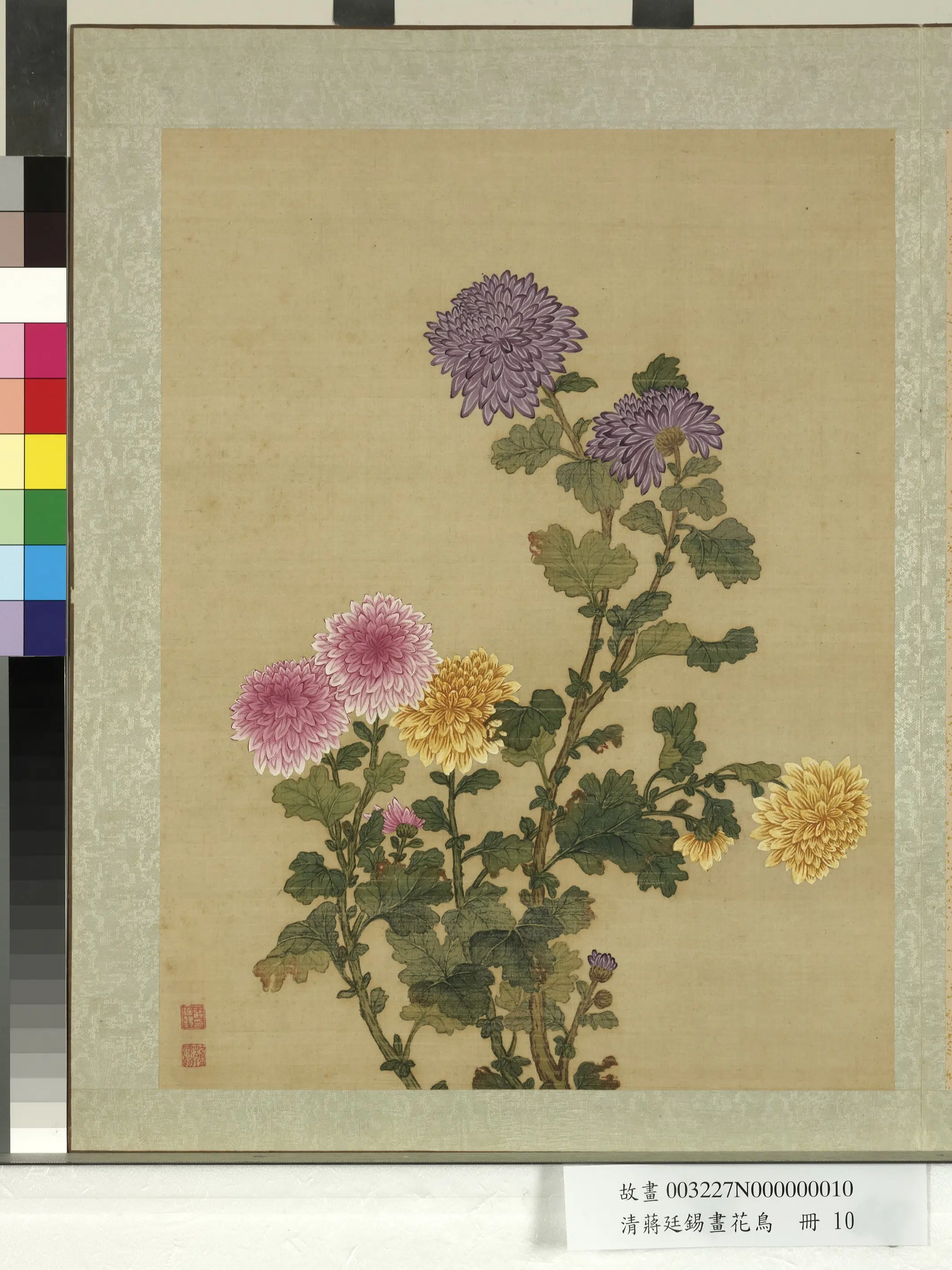 清代【蒋廷锡】《画花鸟册-菊花》