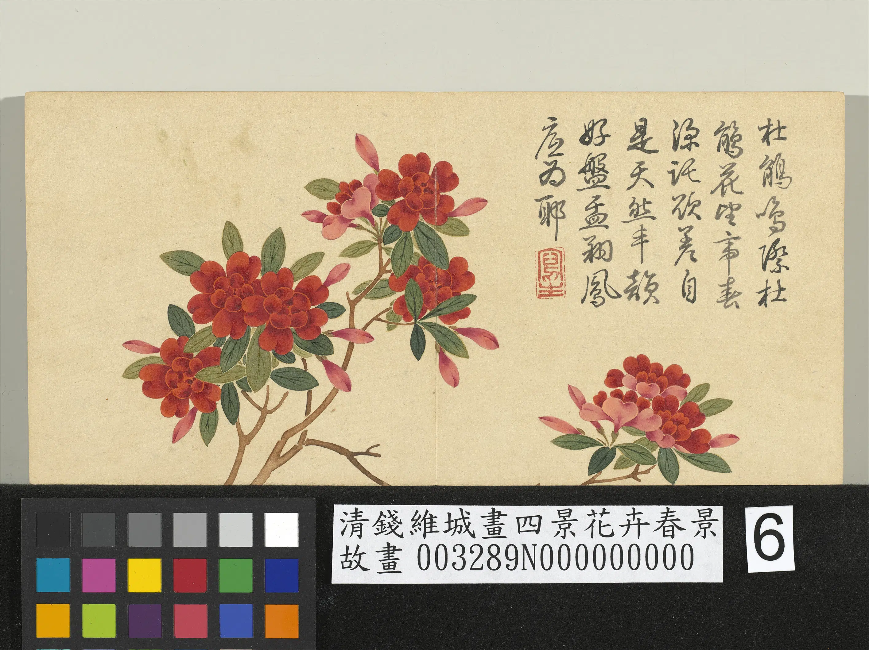 清代【钱维城】《画四景花卉春景册》 第3张