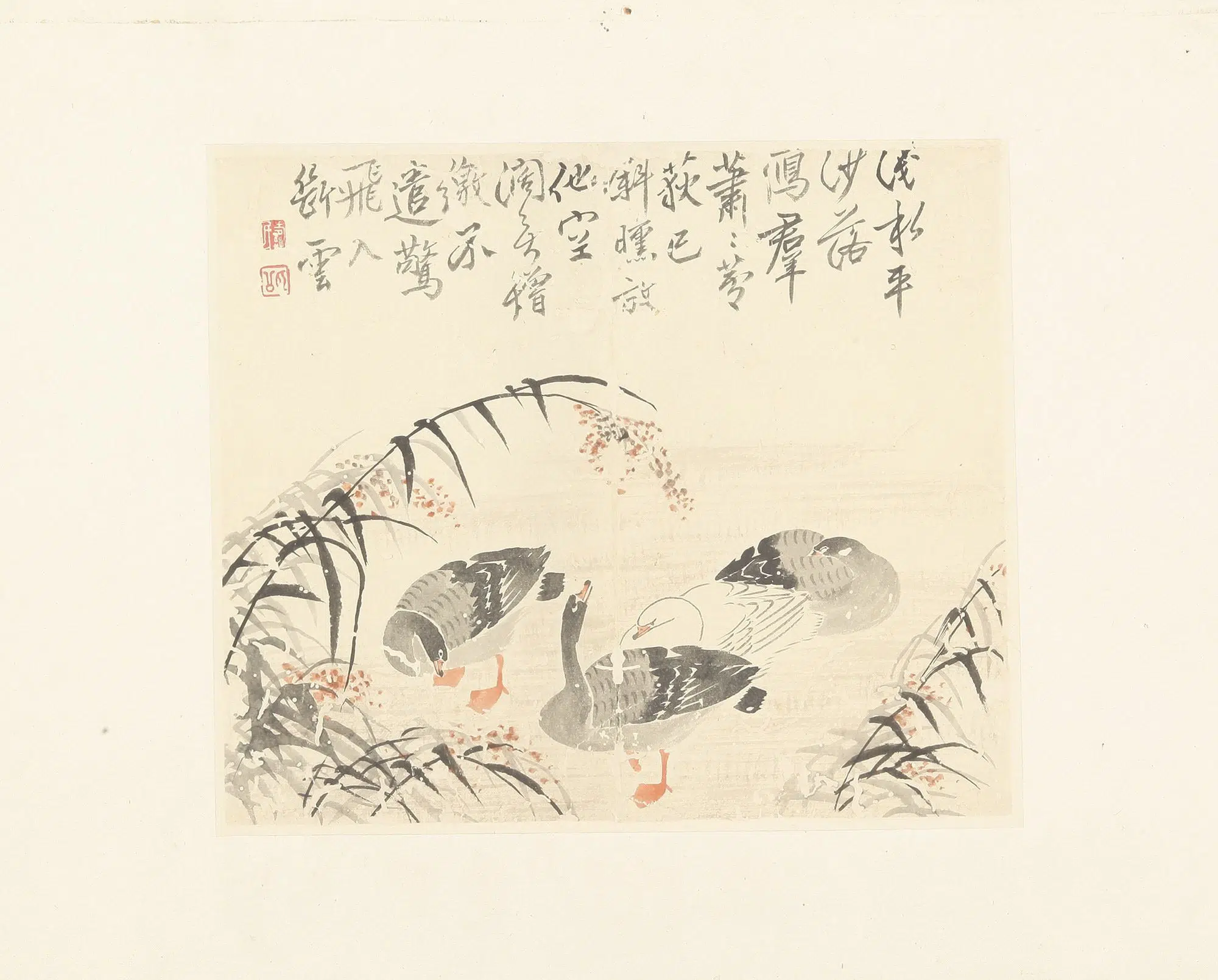 清朝【边寿民】《花卉册页》