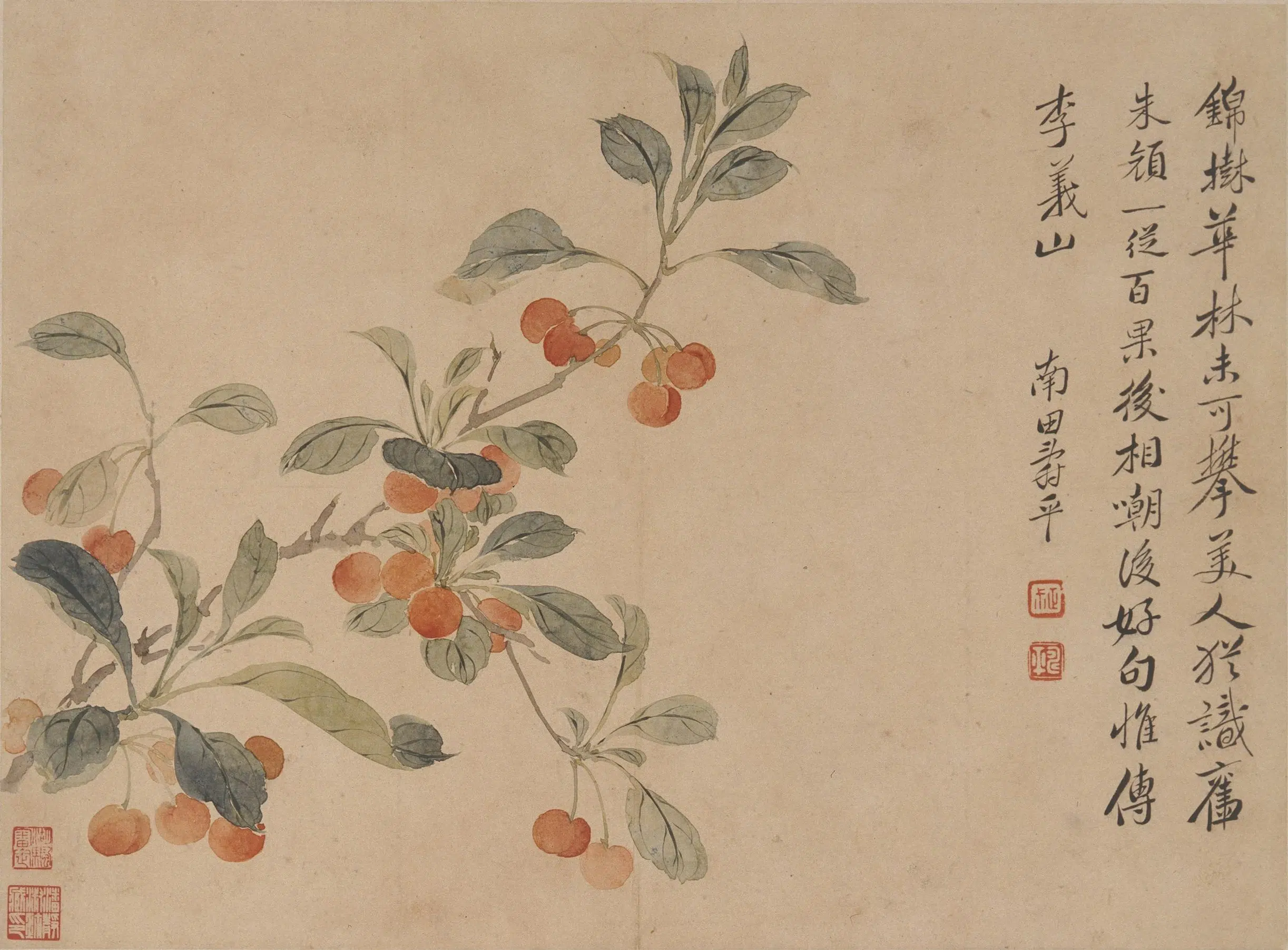 清代【恽寿平】《花卉册》 第4张 清代【恽寿平】《花卉册》 第4张