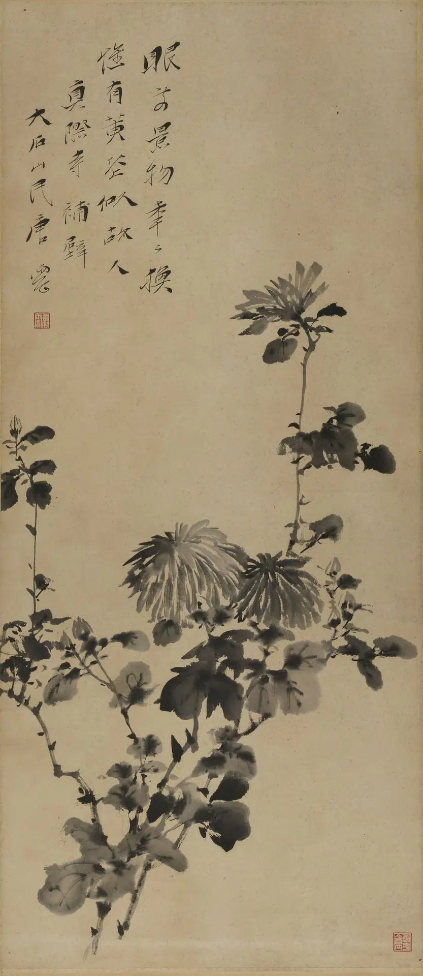 现代【唐云】《墨菊轴》