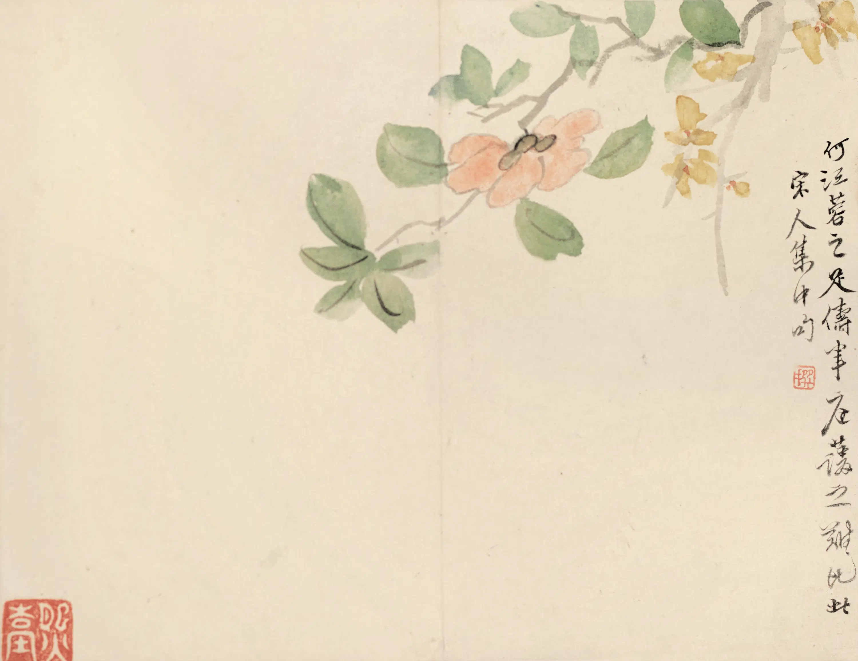 清代【陈撰】《花卉图册-3》 第8张