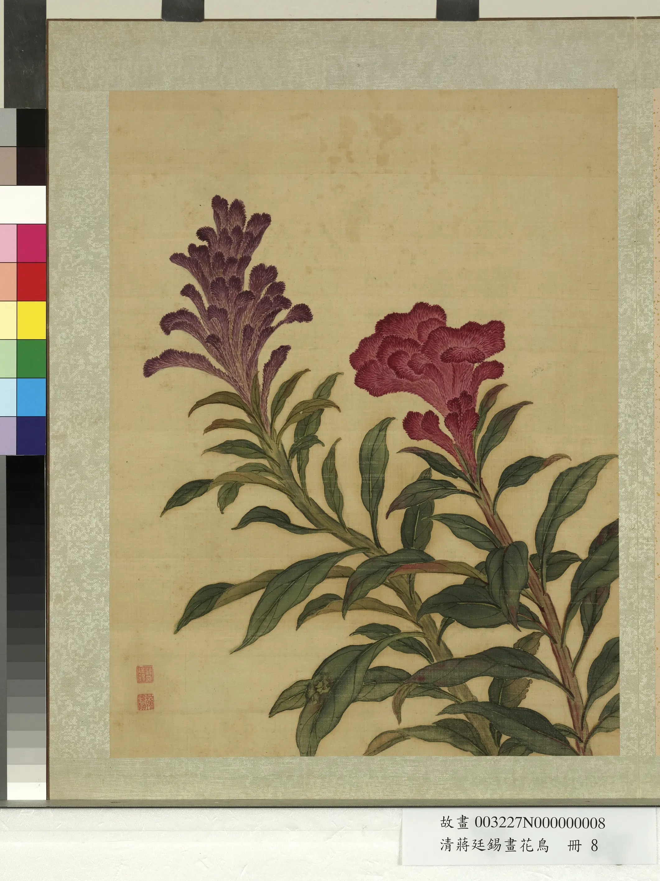 清代【蒋廷锡】《画花鸟册-1》 第12张