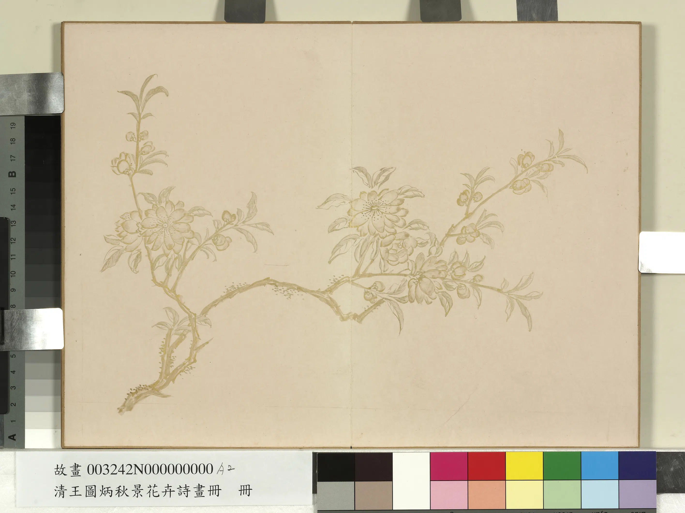 清代【王图炳】《秋景花卉诗画册》 第2张 清代【王图炳】《秋景花卉诗画册》 第2张