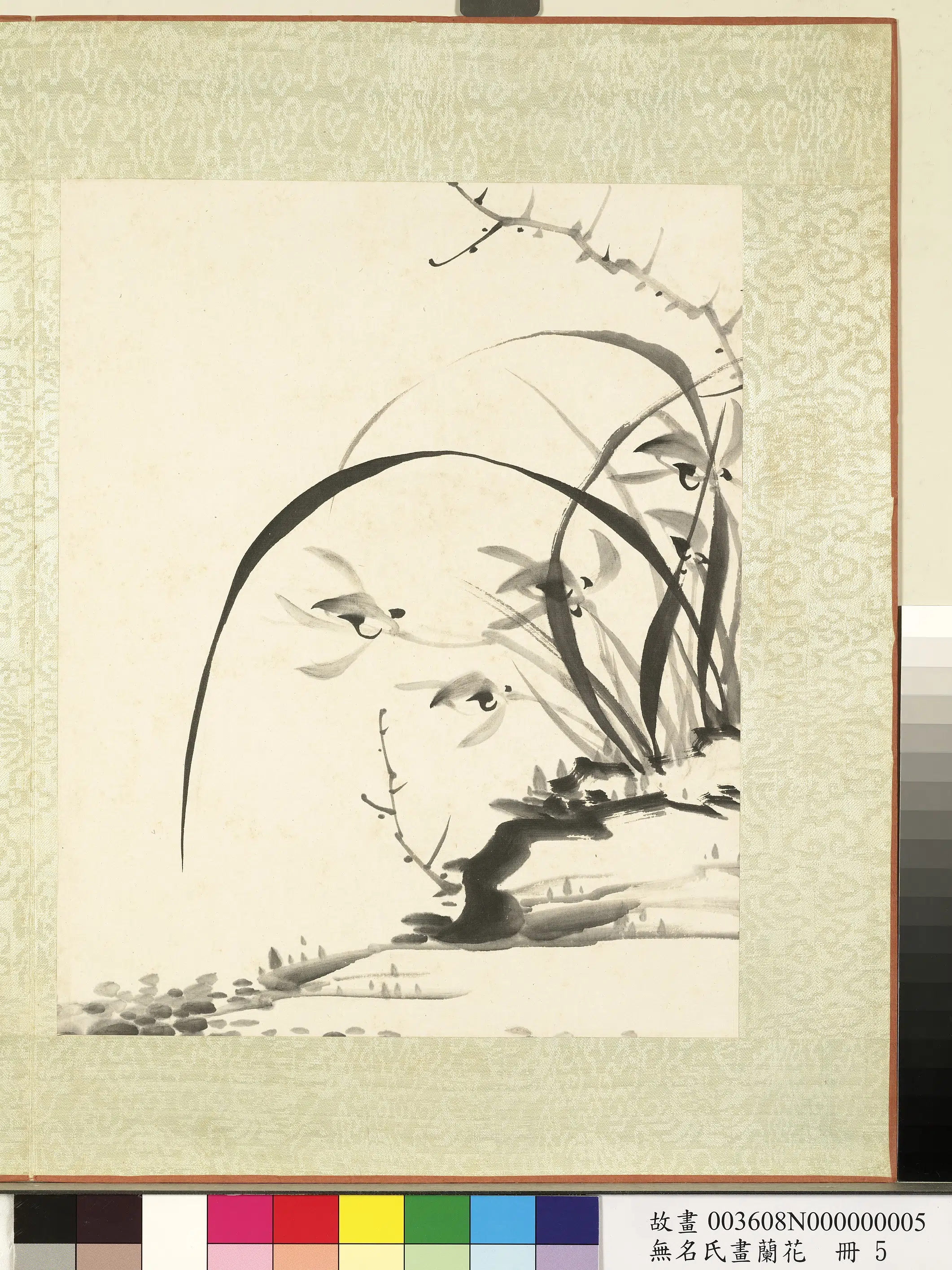 《无名氏画兰花册-兰花（九）》