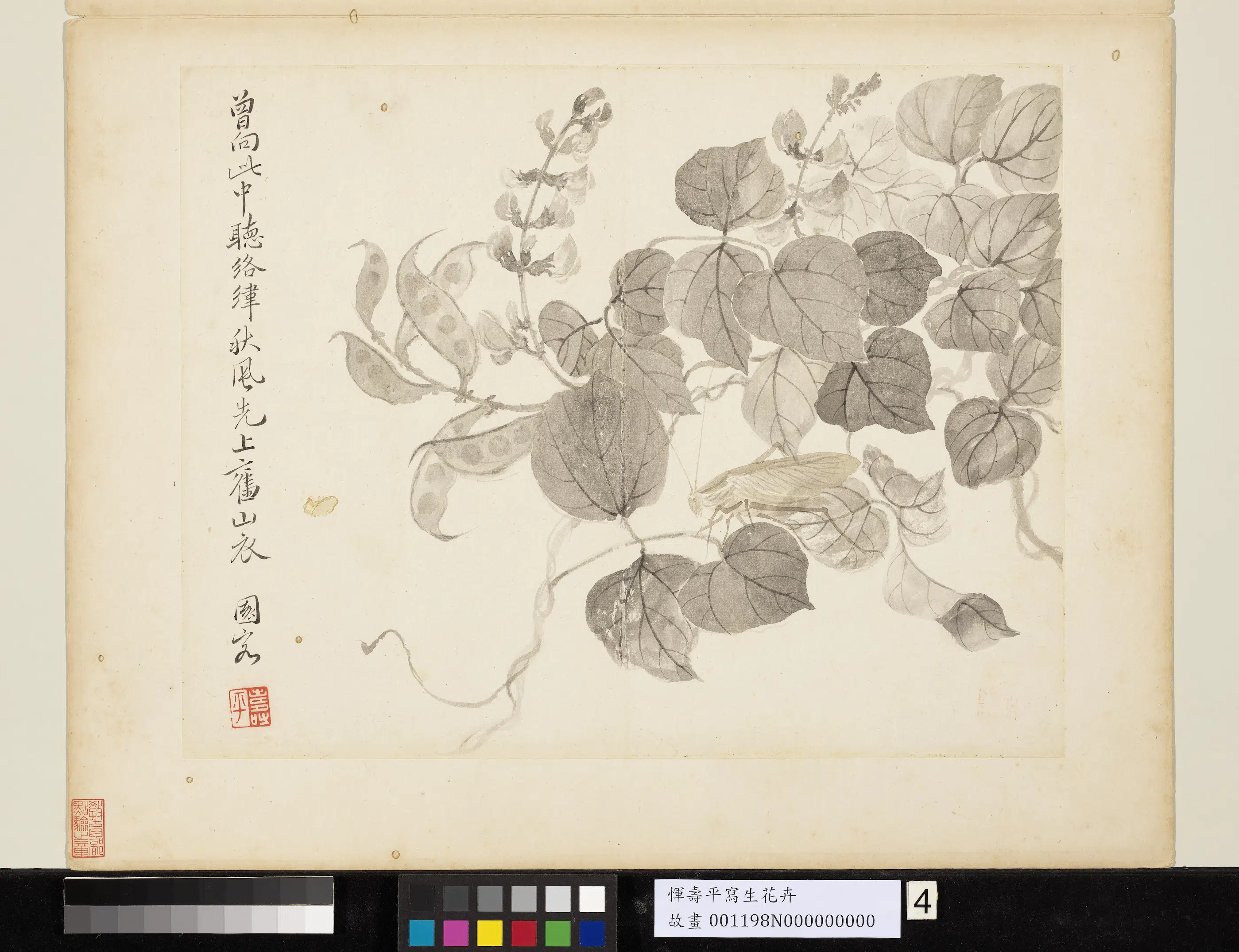 清代【恽寿平】《写生花卉册》