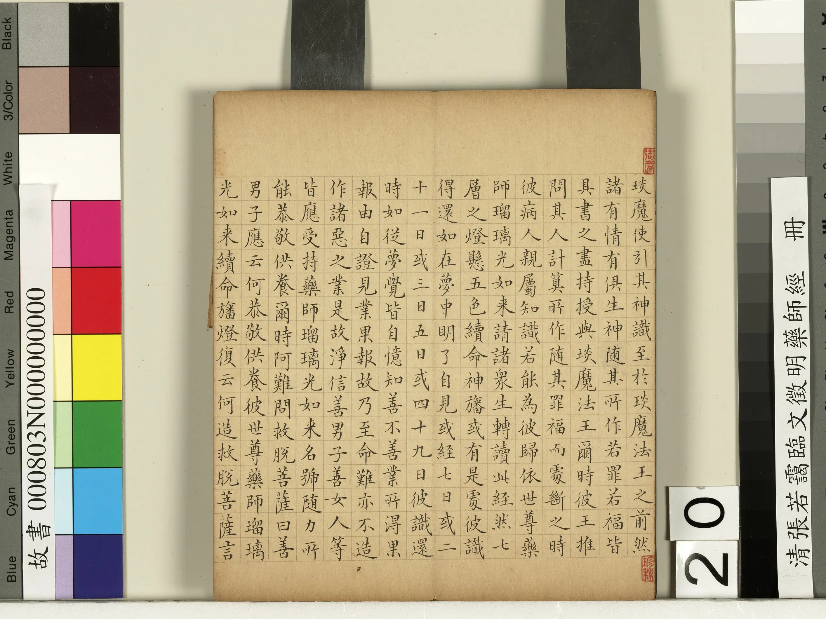 清代【张若霭】《临文征明药师经册》 第13张 清代【张若霭】《临文征明药师经册》 第13张