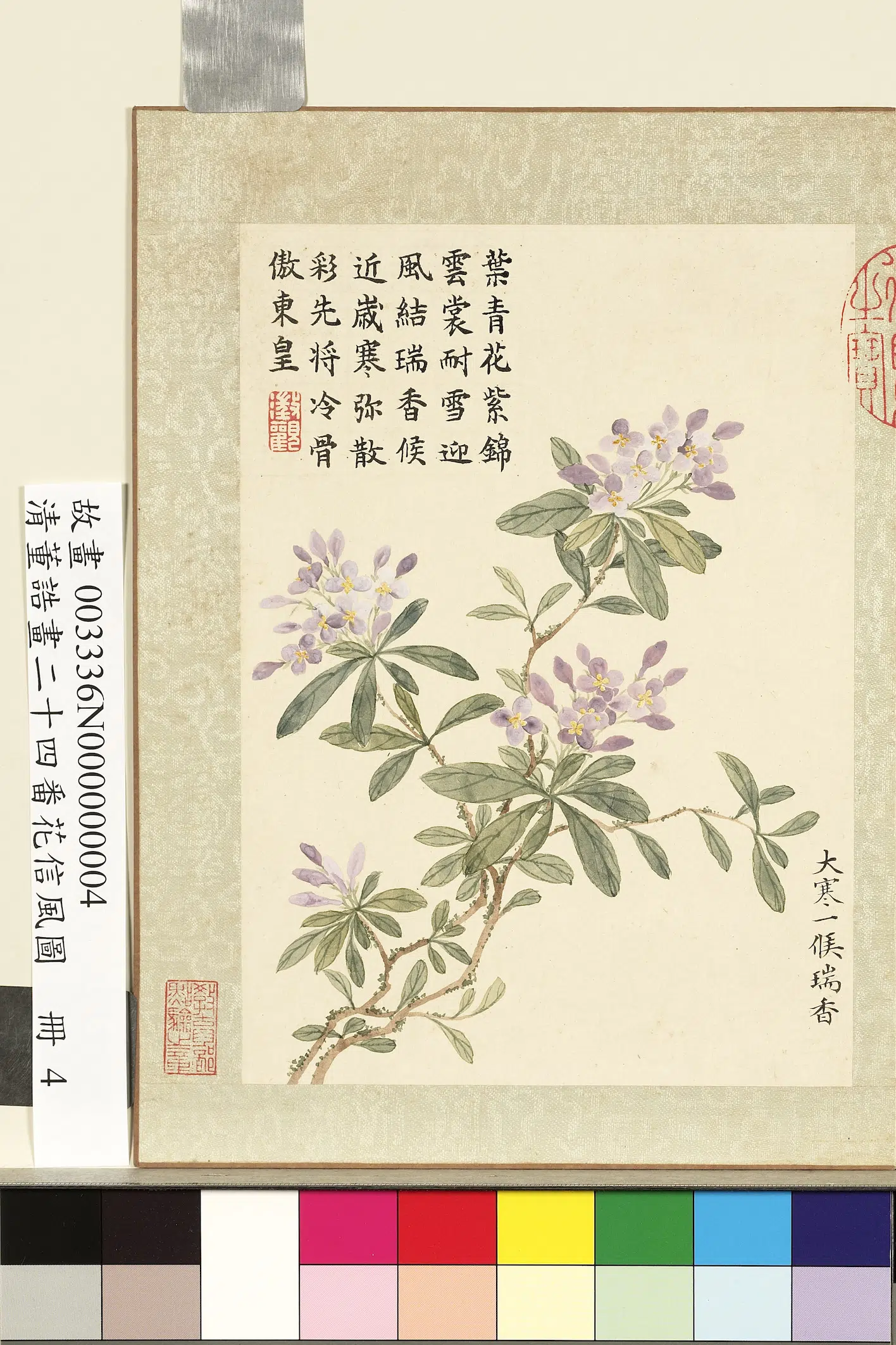 清代【董诰】《画二十四番花信风图册-大寒一候瑞香》