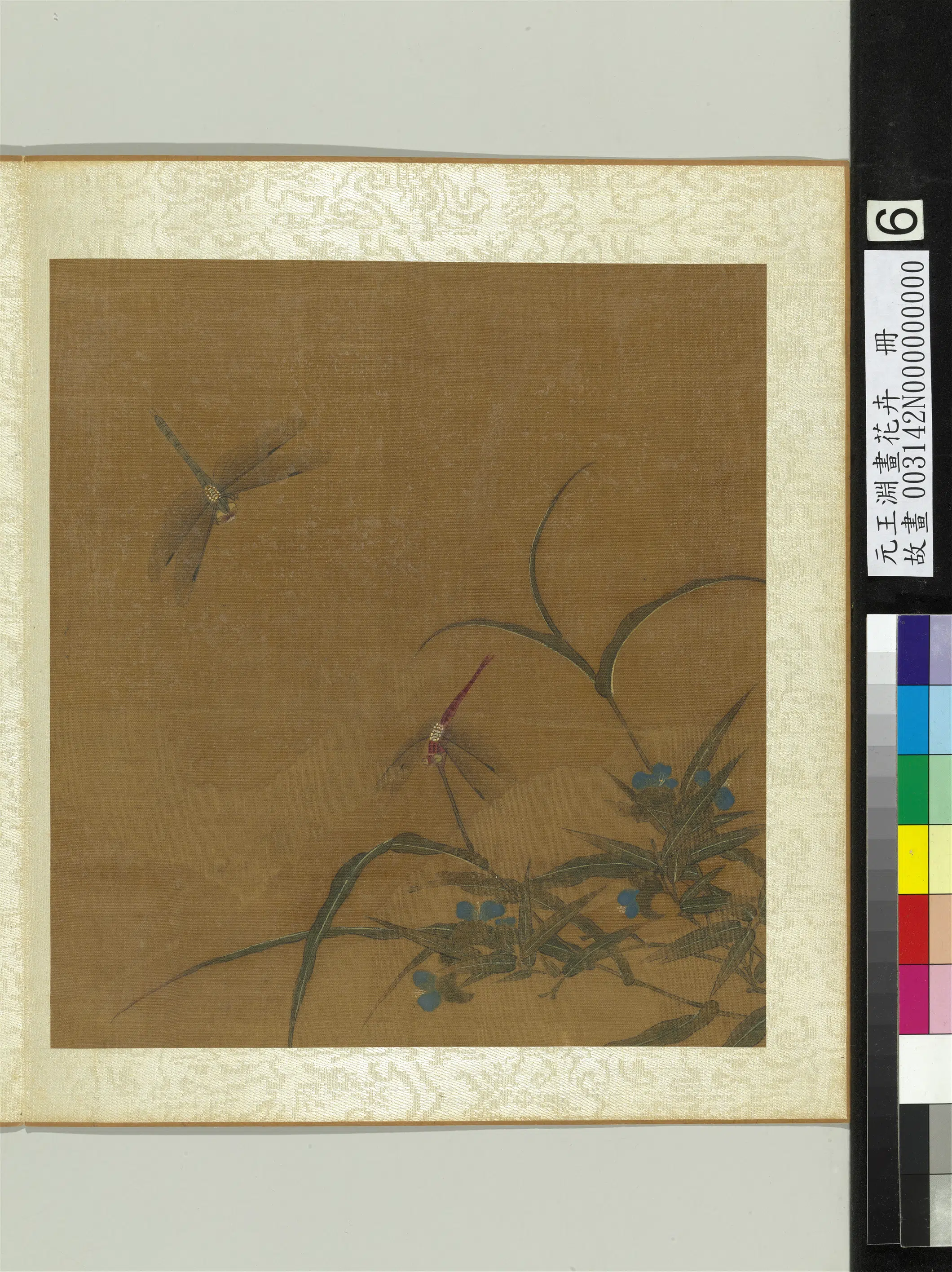 元朝【王渊】《画花卉册-鸭跖草》