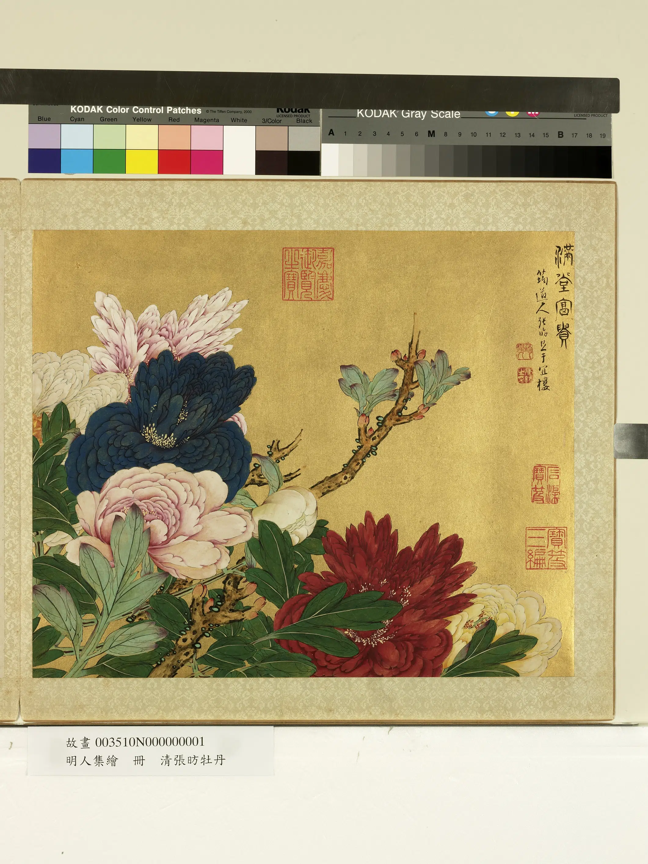 北宋【张昉】《明人集绘册-牡丹》