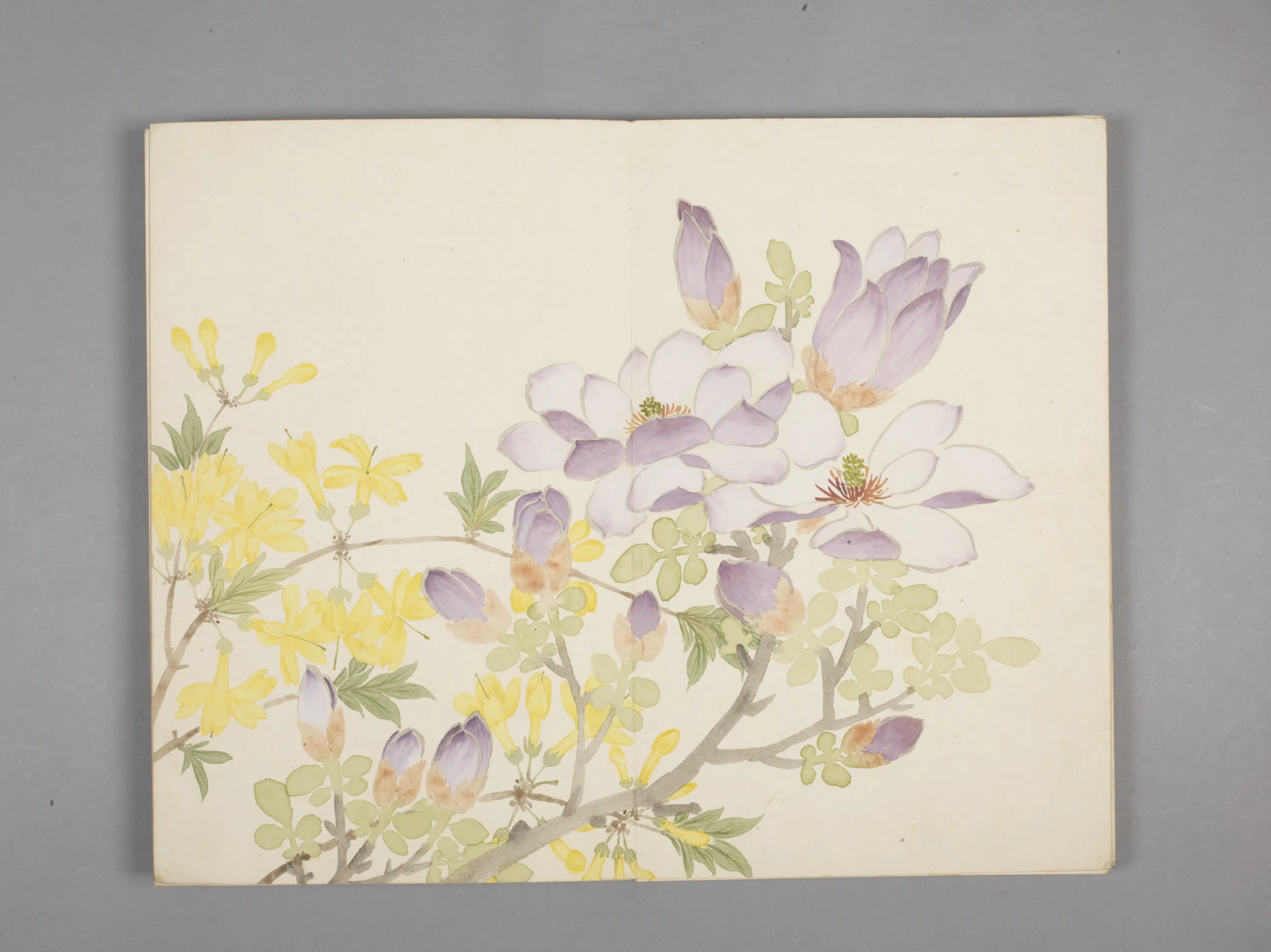 清代【董诰】《绚锦胪芳图册(10开)》 第3张 清代【董诰】《绚锦胪芳图册(10开)》 第3张