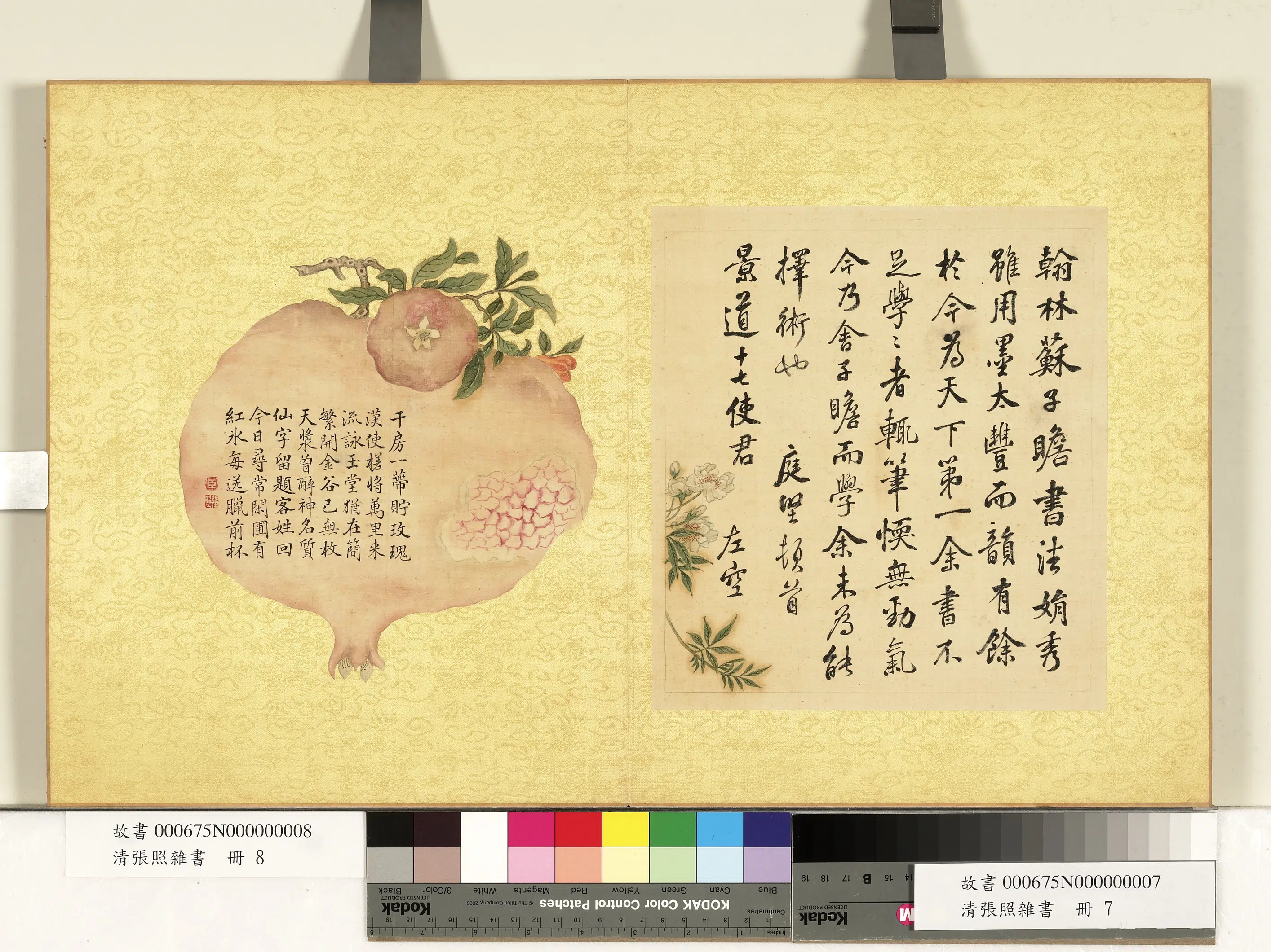 清代【张照】《杂书册》 第12张