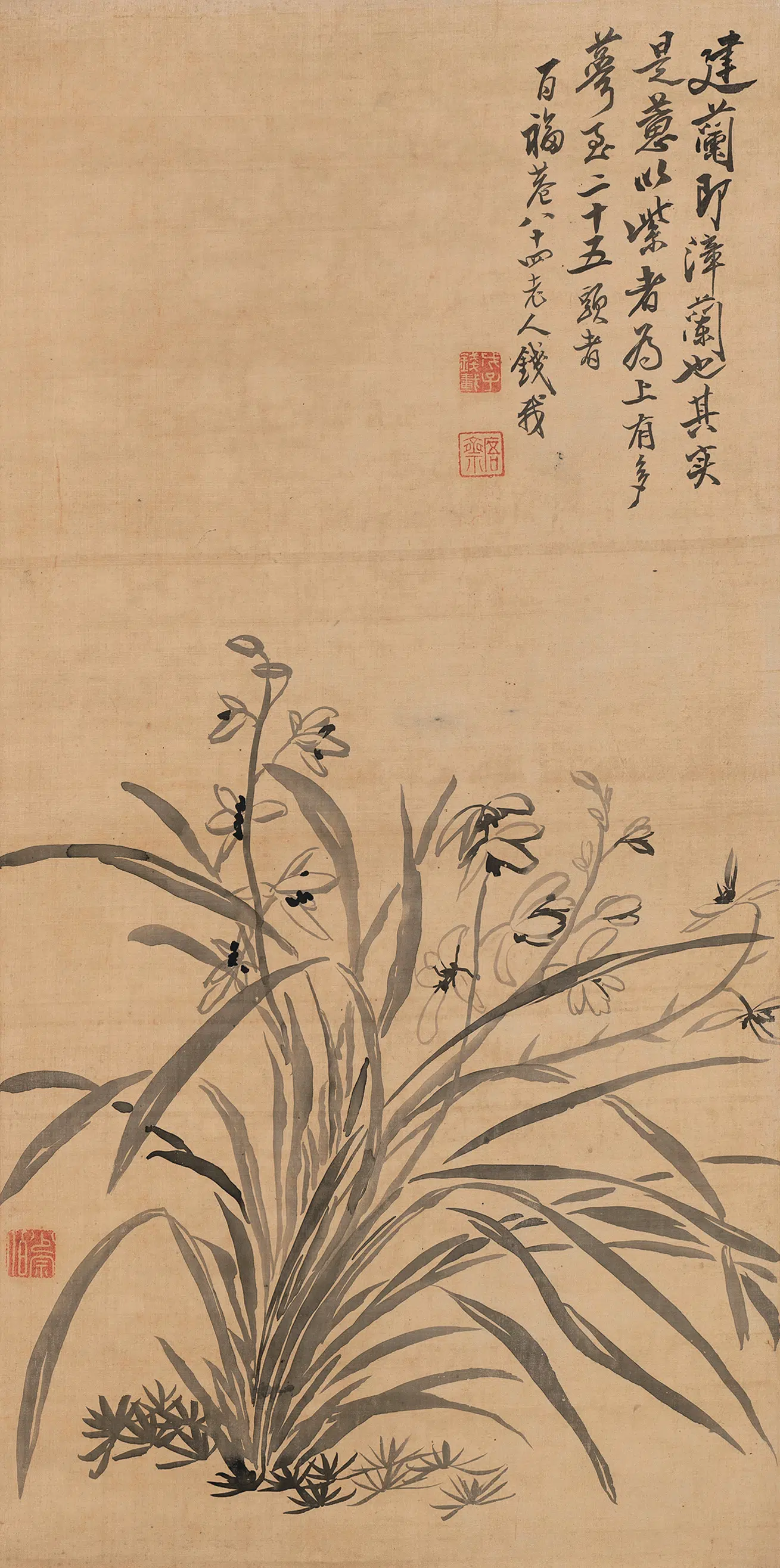 清代【钱载】《兰花图轴》