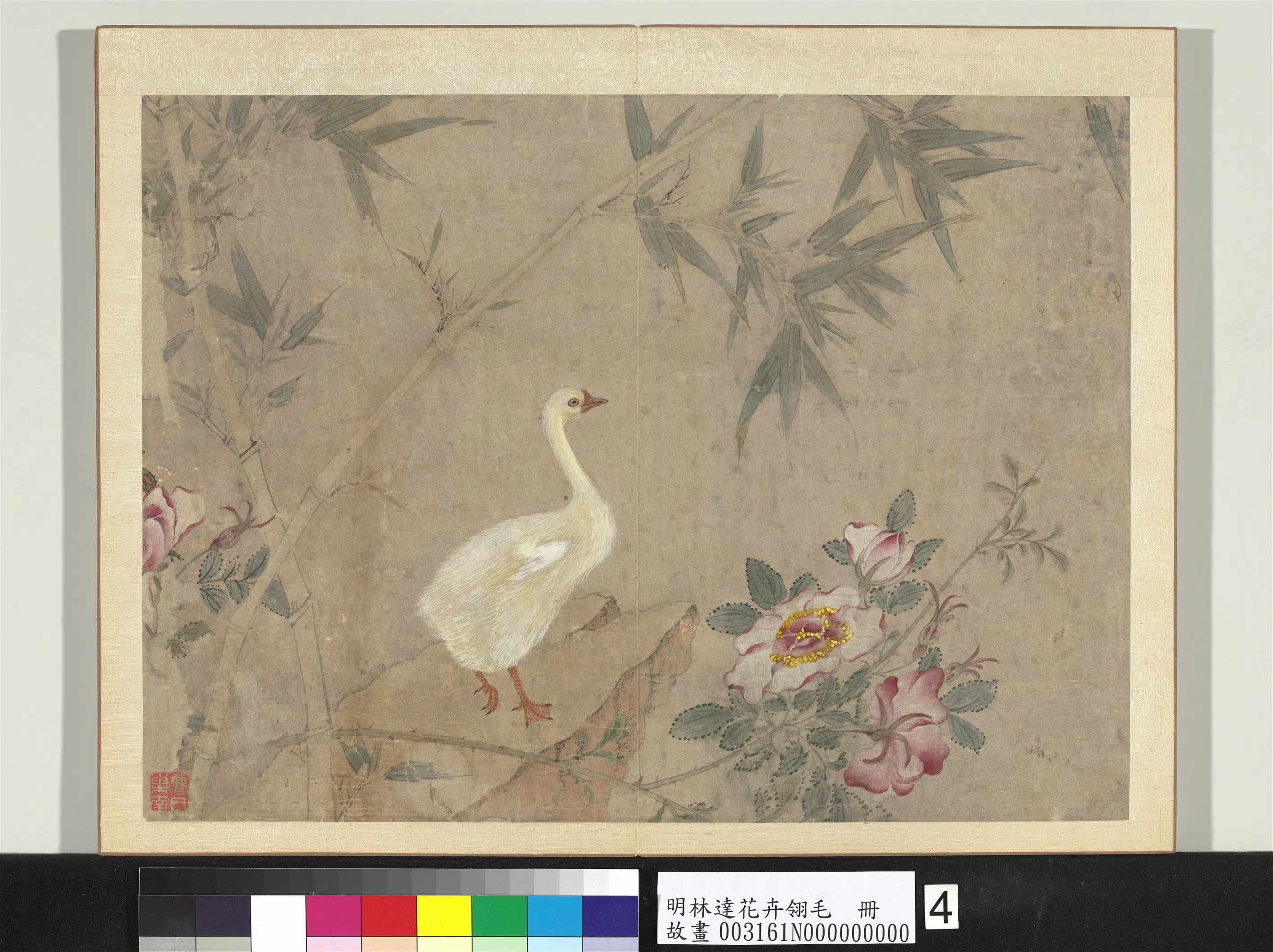 明朝【林达】《花卉翎毛册》 第2张