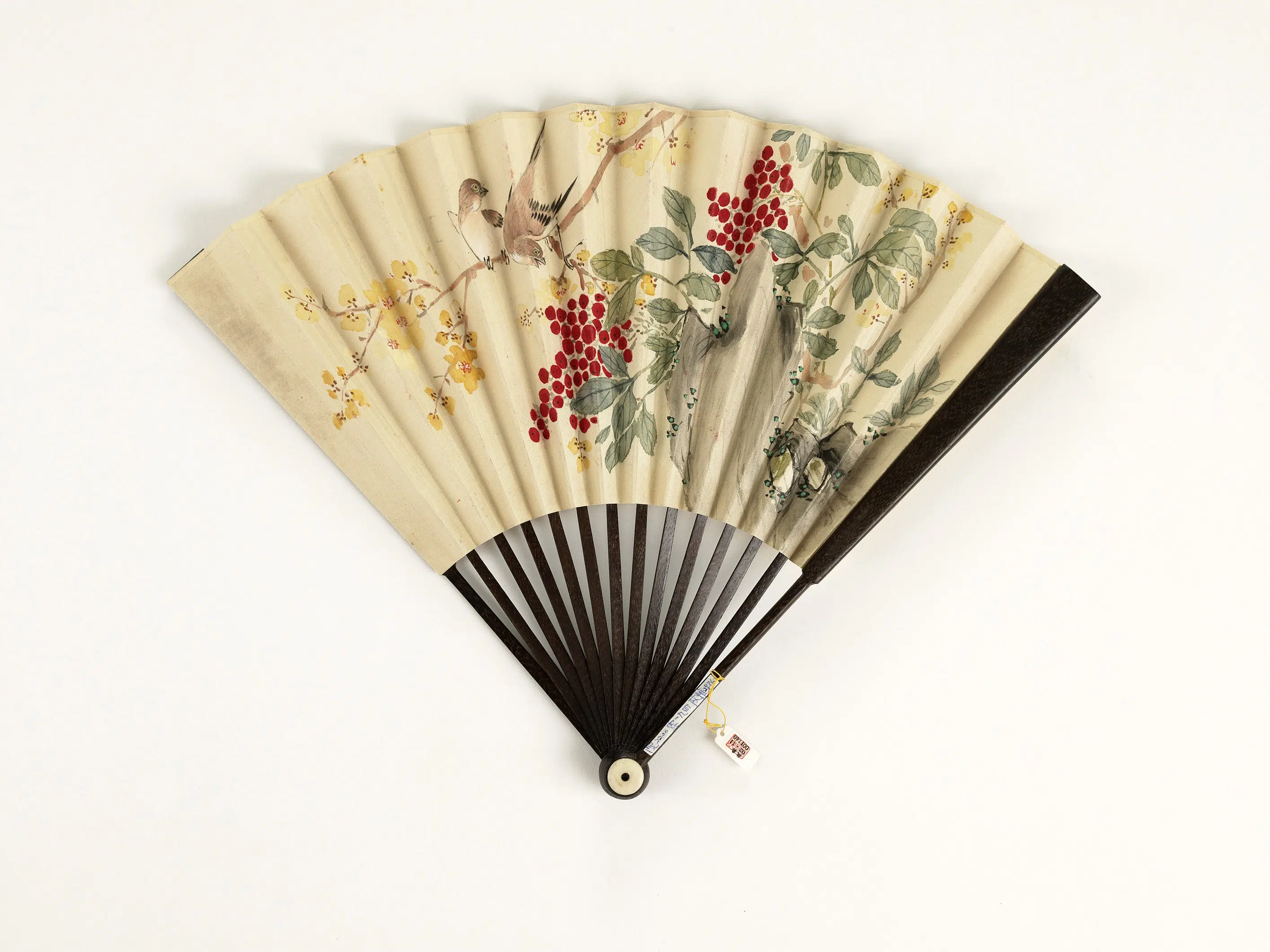 清代《清人花鸟-成扇-4》