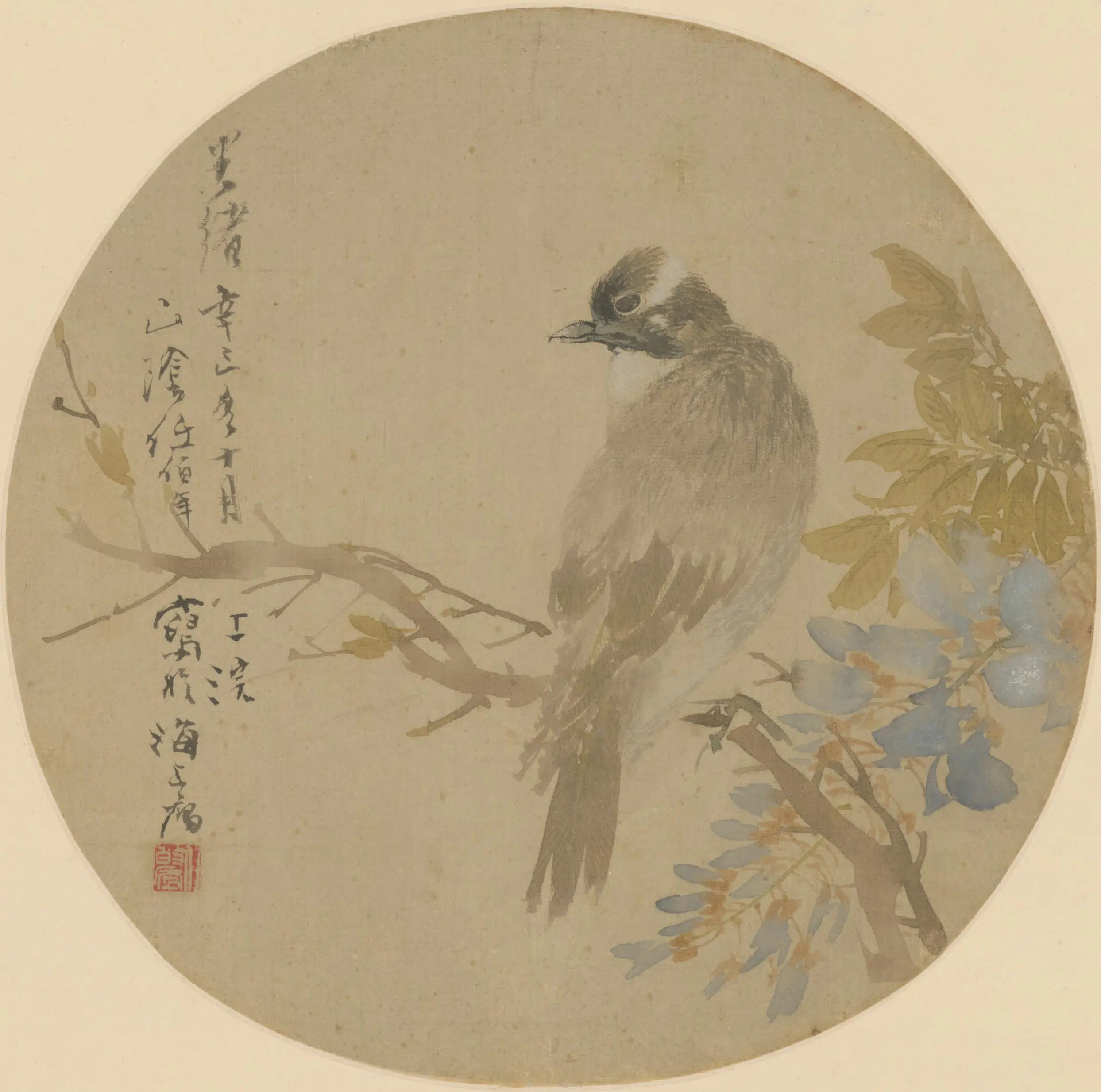 清代【任颐】《紫藤栖禽团扇》