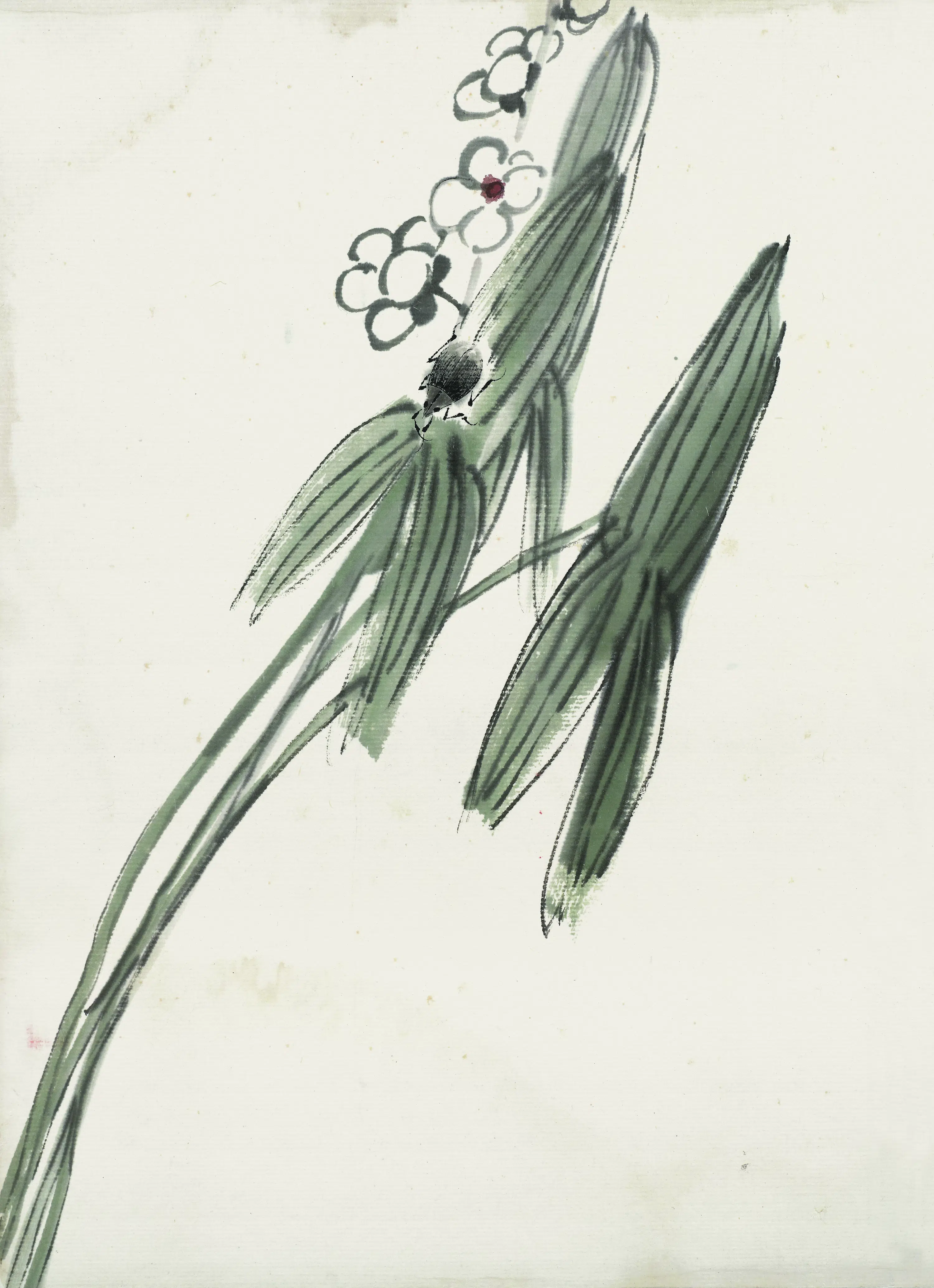 近现代【齐白石】《花卉虫草图册83开》 第36张 近现代【齐白石】《花卉虫草图册83开》 第36张