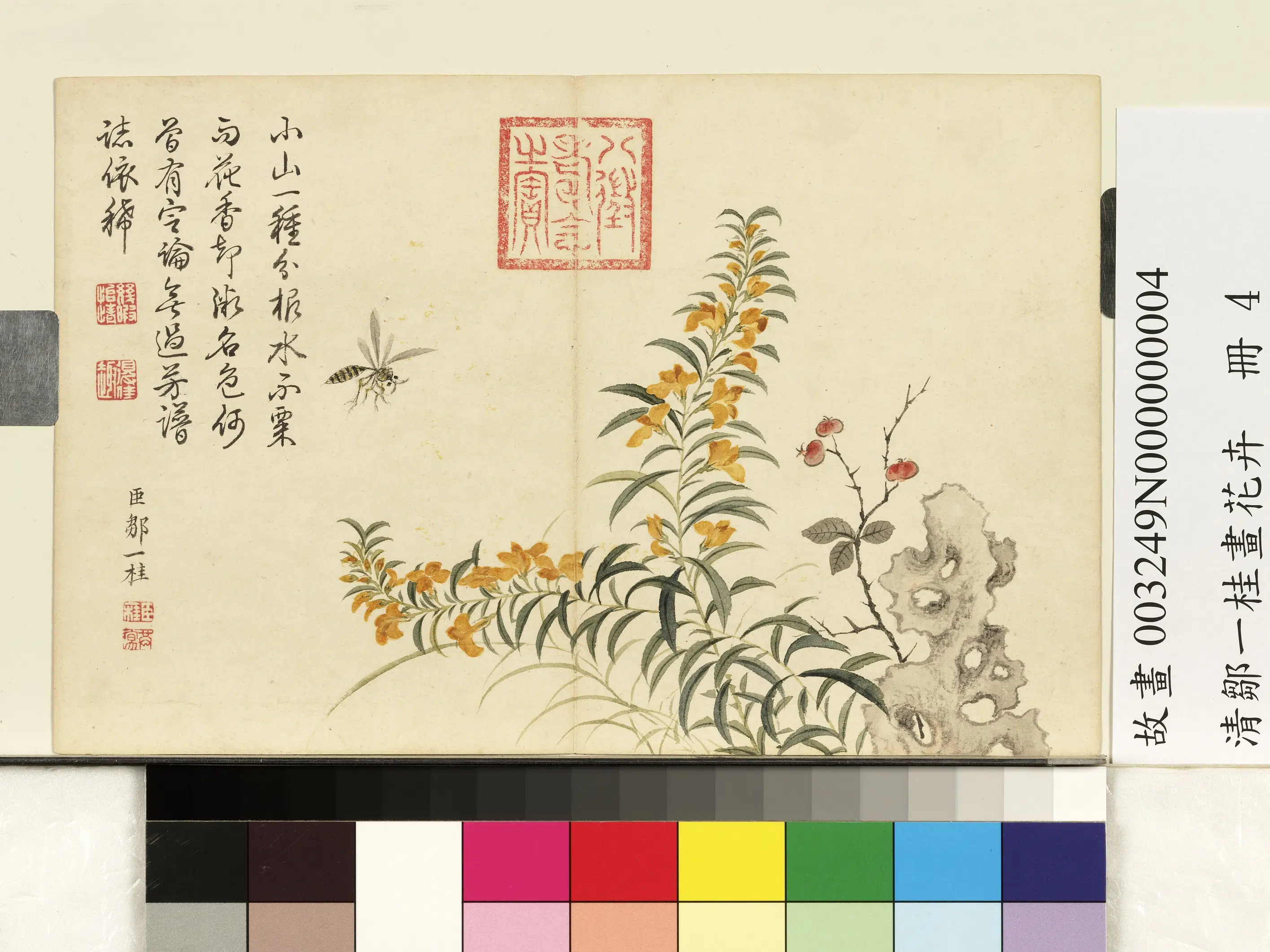 清代【邹一桂】《画花卉册-水木樨》