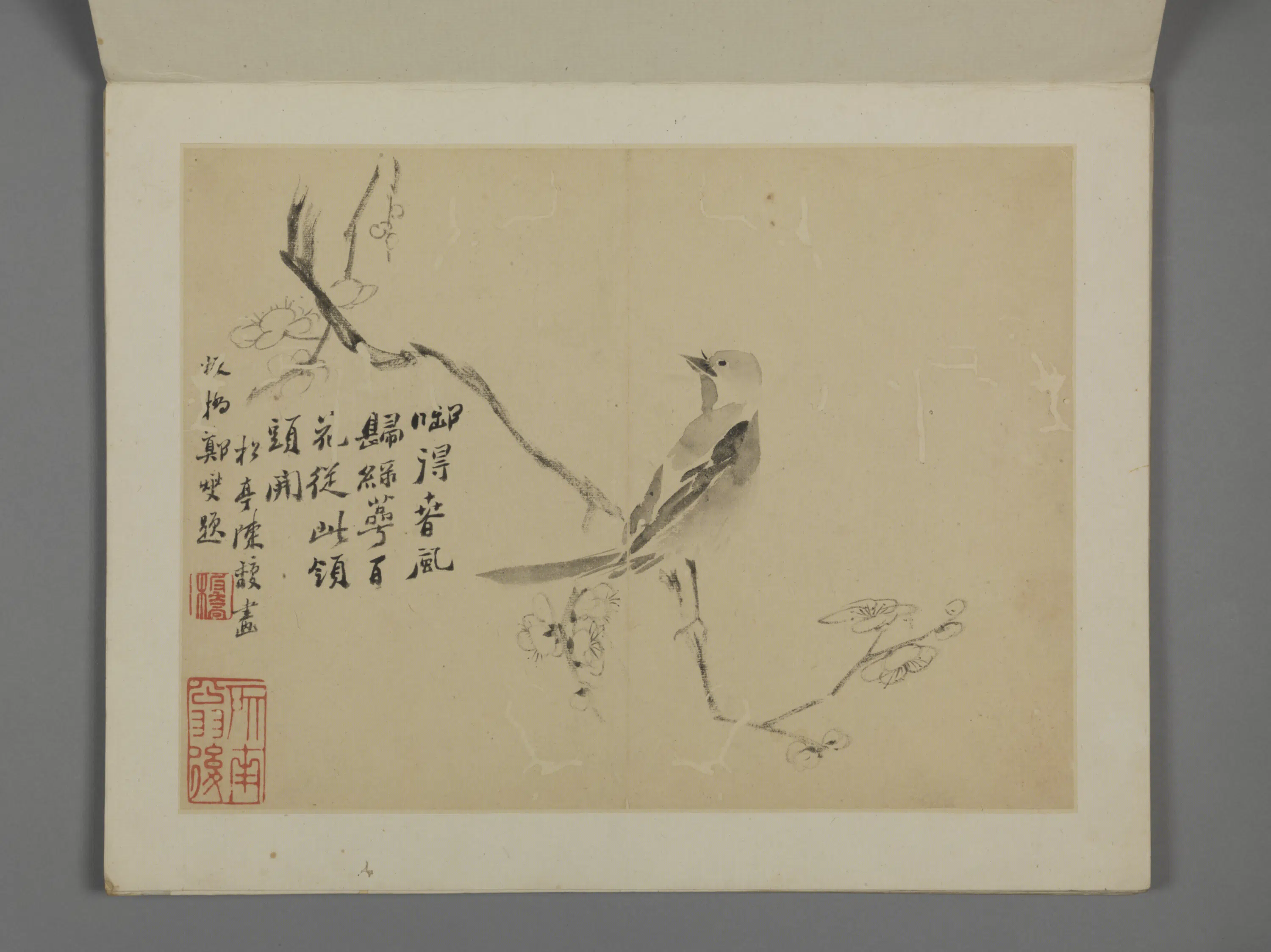 清代【陈馥】《花卉册-11开》