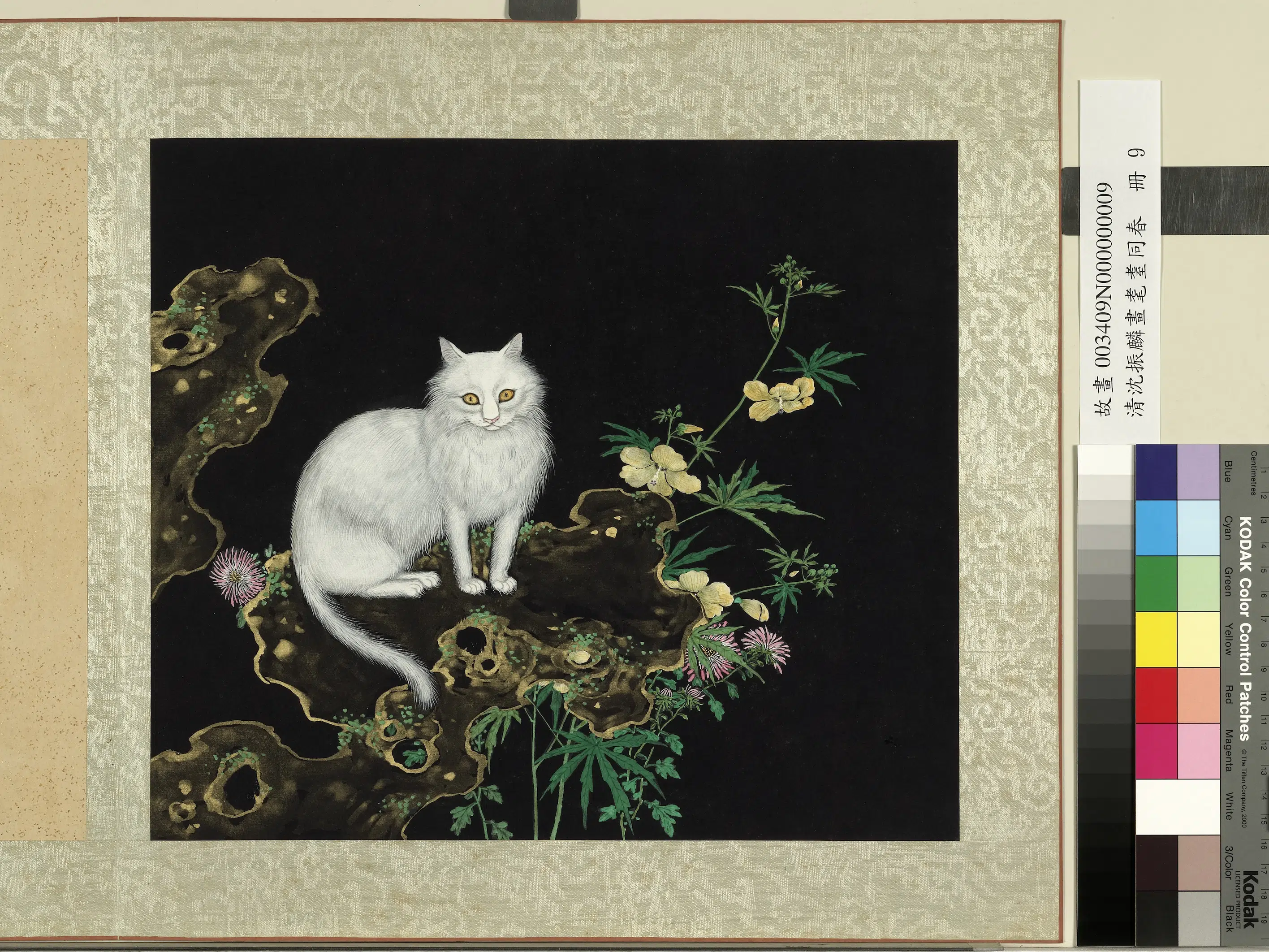 清朝【沈振麟】《画耄耋同春册-2》 第11张 清朝【沈振麟】《画耄耋同春册-2》 第11张