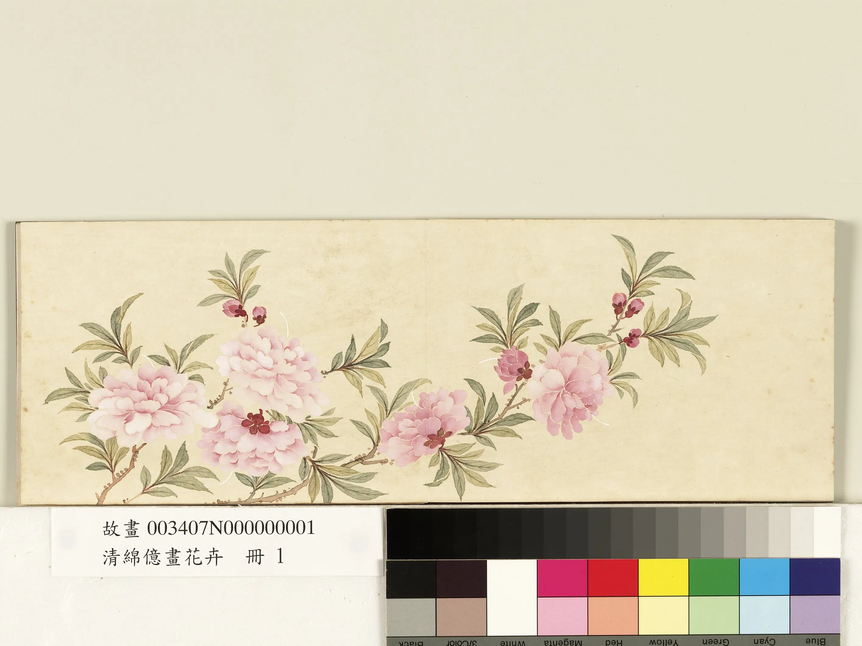 清代【爱新觉罗绵亿】《画花卉册-碧桃花》