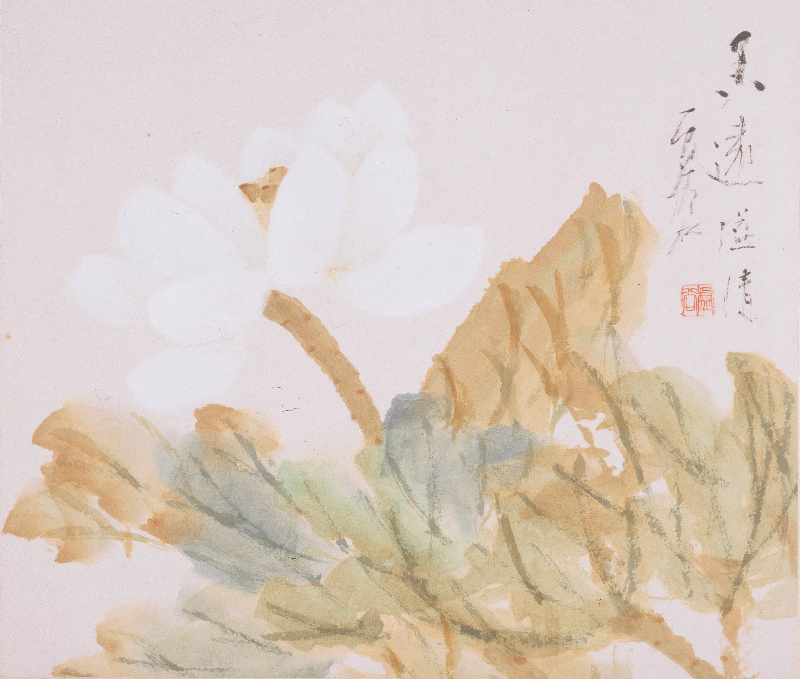清代【虚谷】《杂画图册》 第5张