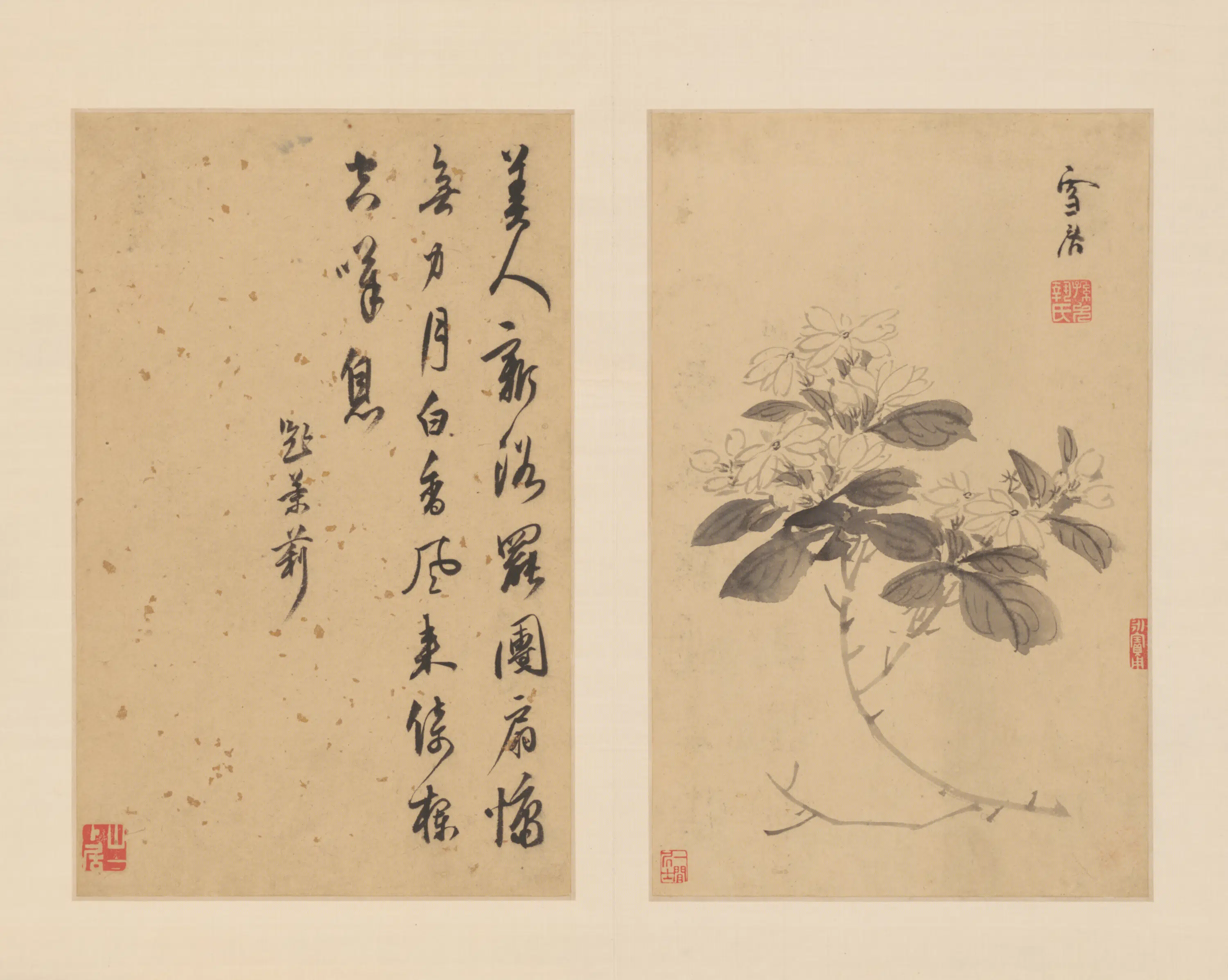 明朝【孙克弘】《花卉图册（11开）》