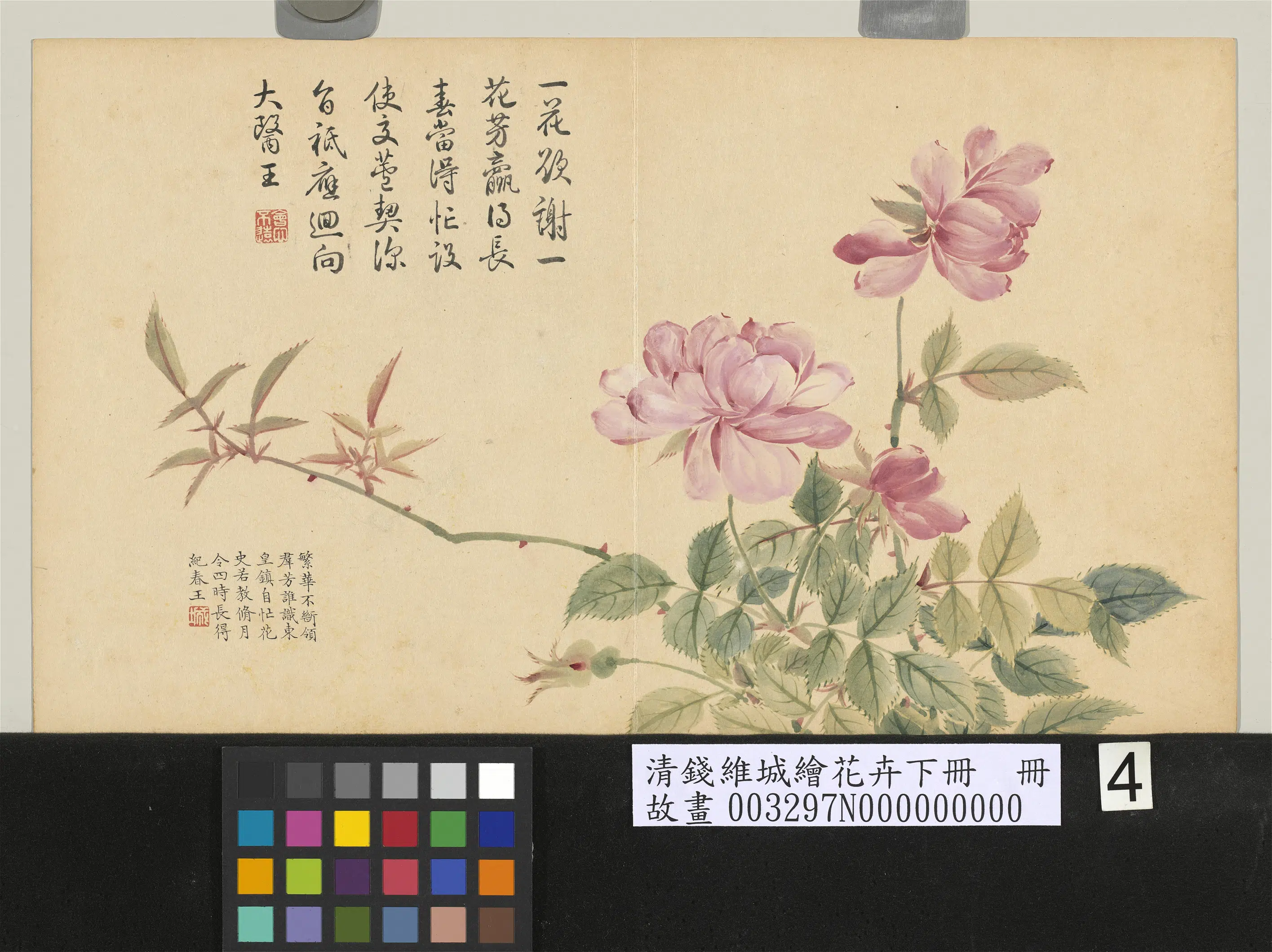 清代【钱维城】《绘花卉(下)册》 第13张 清代【钱维城】《绘花卉(下)册》 第13张