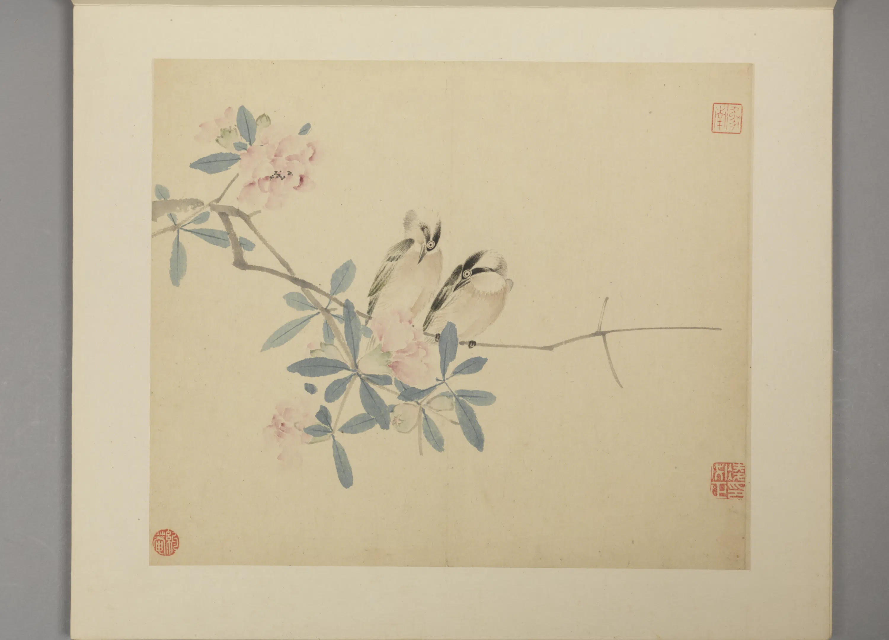 明朝【凌必正】《花鸟册》 第2张