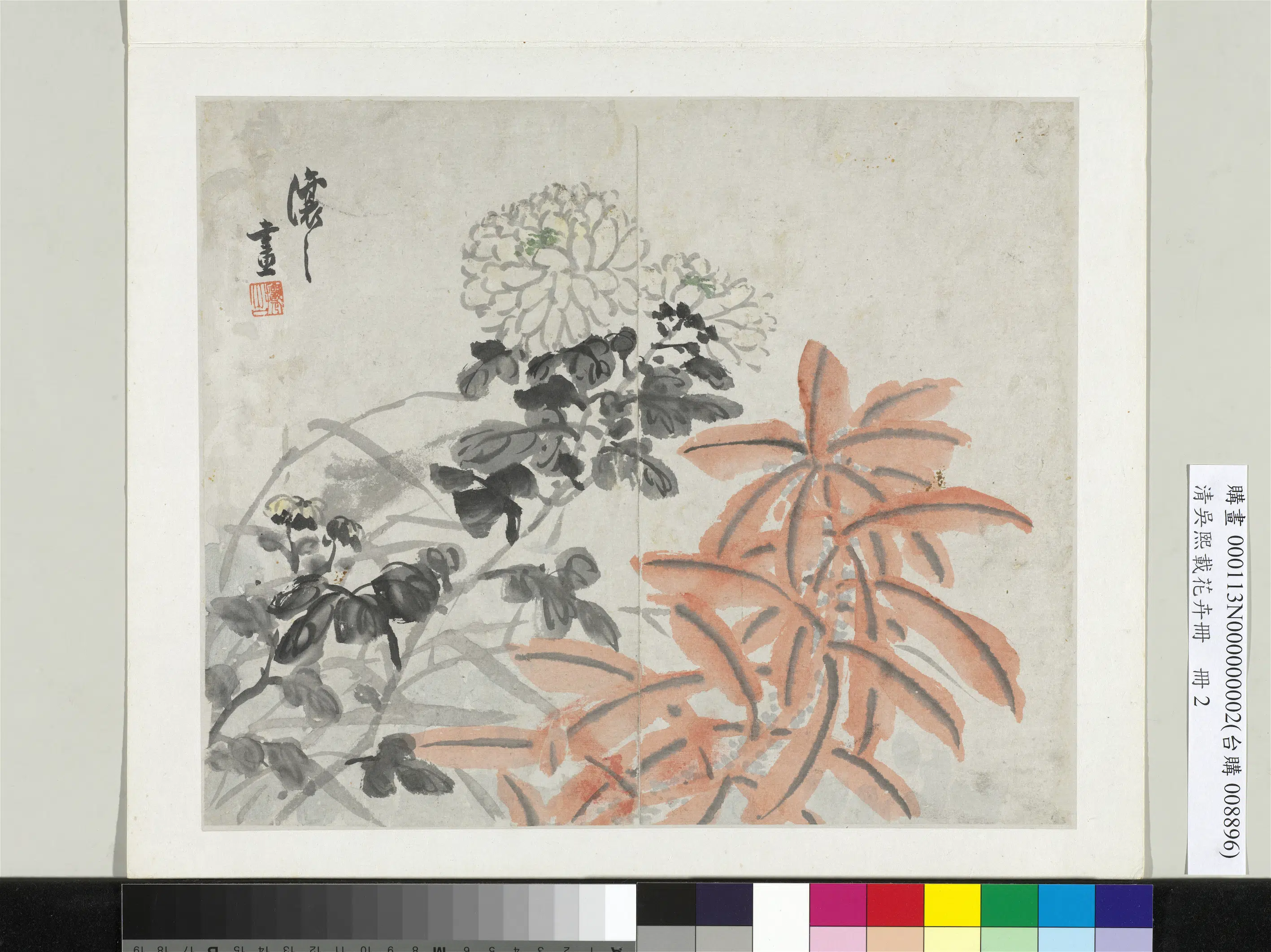 清代【吴熙载】《花卉册-菊花雁来红》