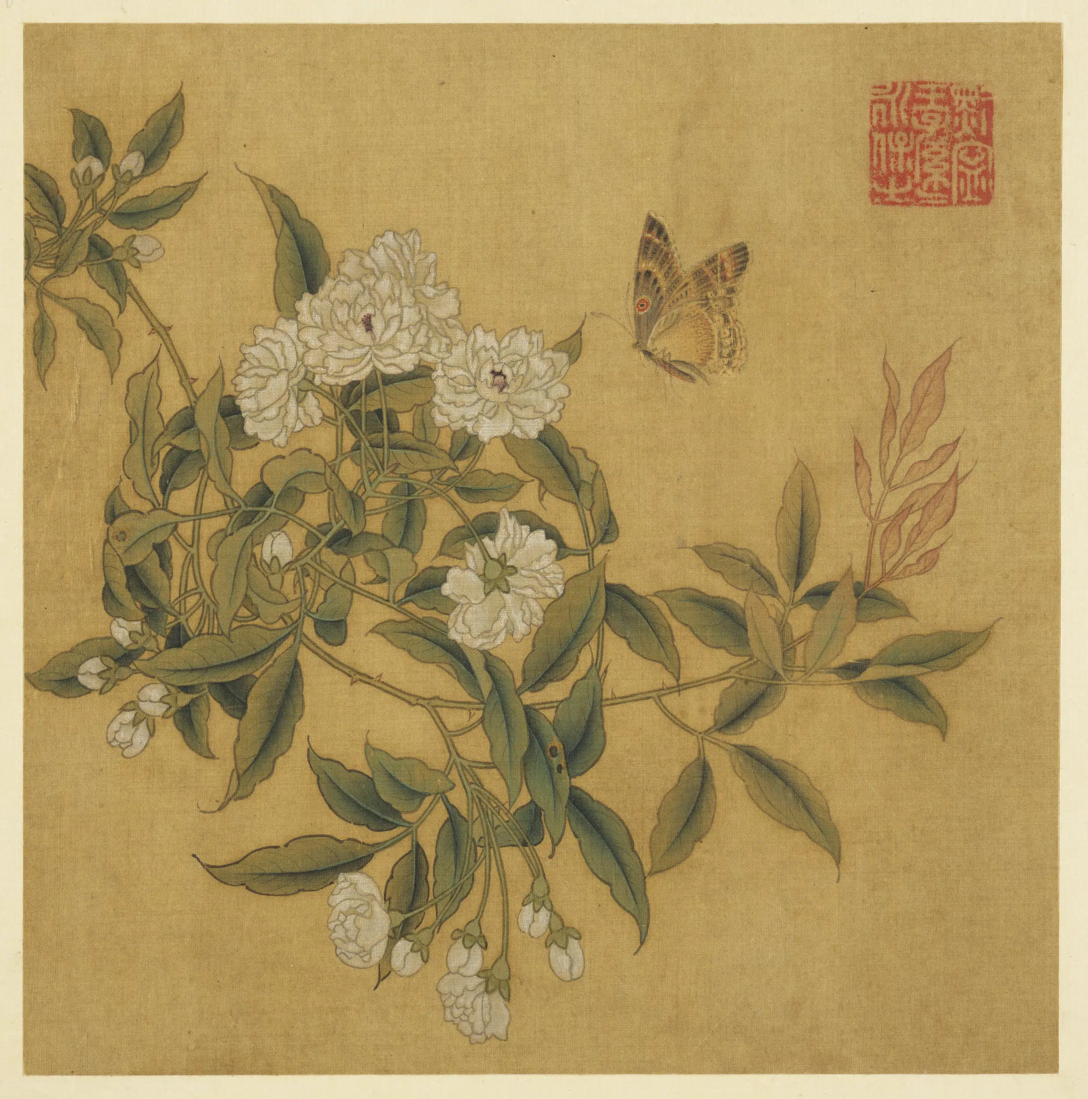 清朝【佚名】《历代画幅集册-无款花蝶》