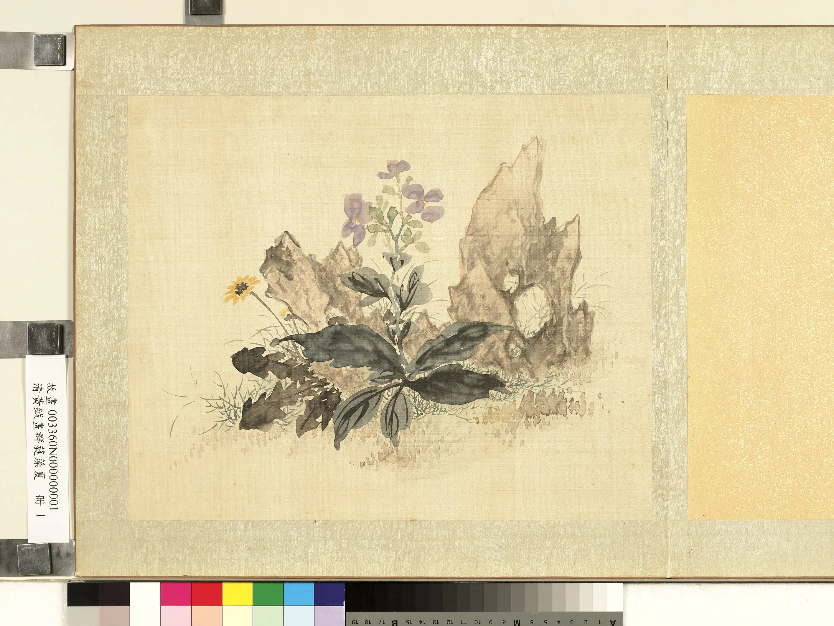 清代【黄钺】《画群蕤藻夏册-画草花奇石》