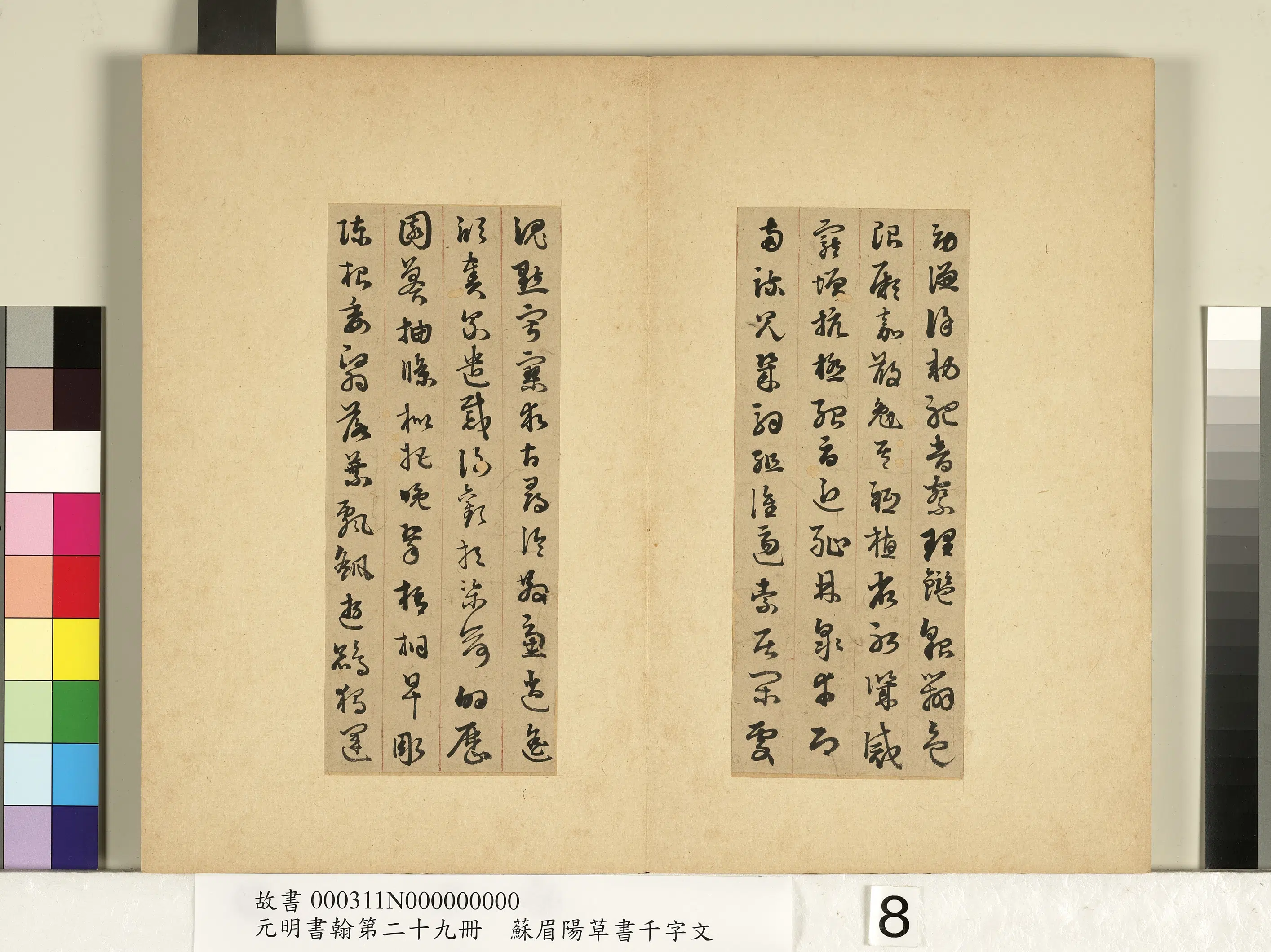 明朝【苏眉阳】《元明书翰第二十九册-草书千字文》 第10张
