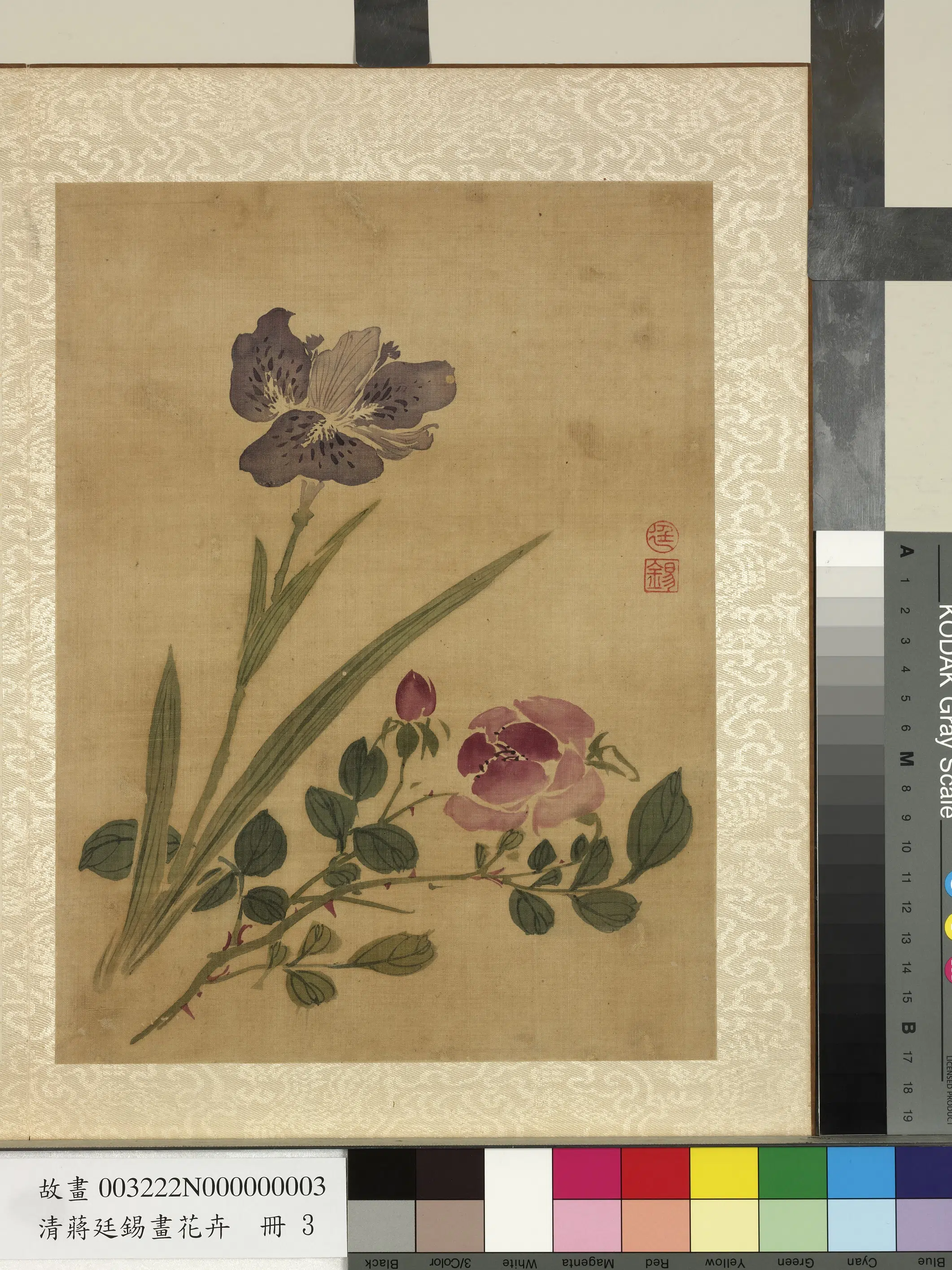清代【蒋廷锡】《画花卉册-蔷薇鸳尾》
